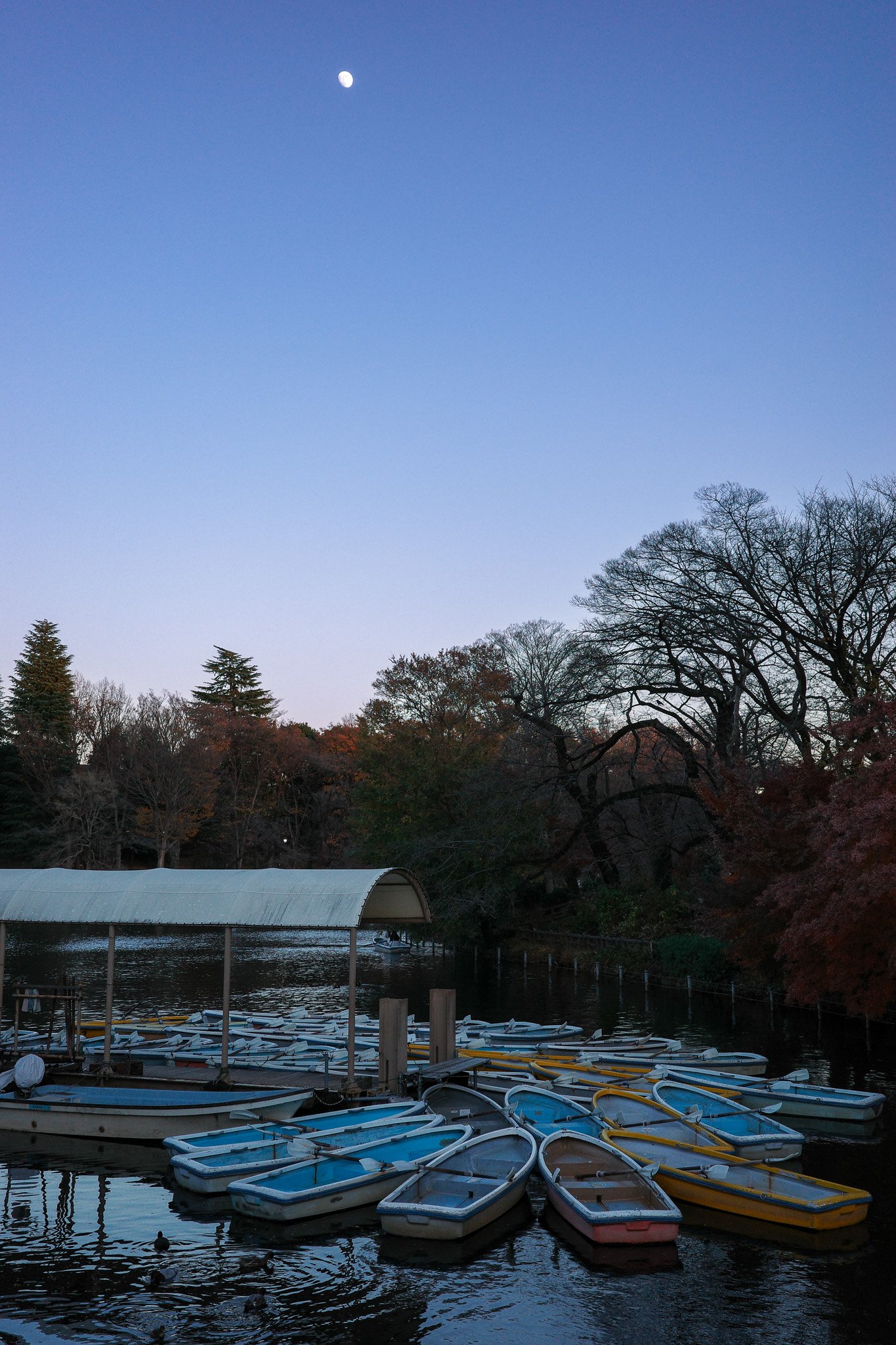 R0001666.jpg