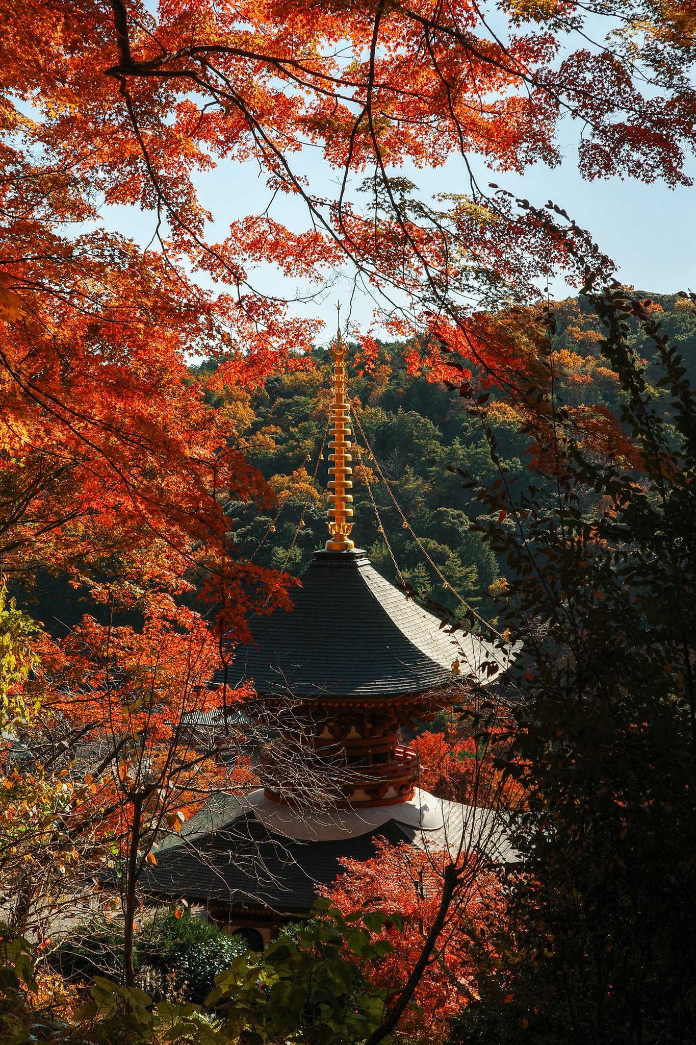 R0000873.jpg