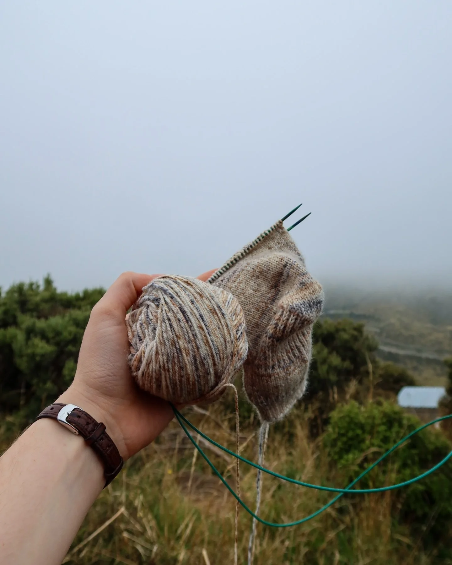 Crafting on holiday in Wellington, New Zealand.

My knitting goal this year was to make a pair of socks so I was very excited to cast on the I&rsquo;m So Basics Socks by @summer.lee.knits . 

I found the perfect souvenir, a cross stitch sheep bookmar