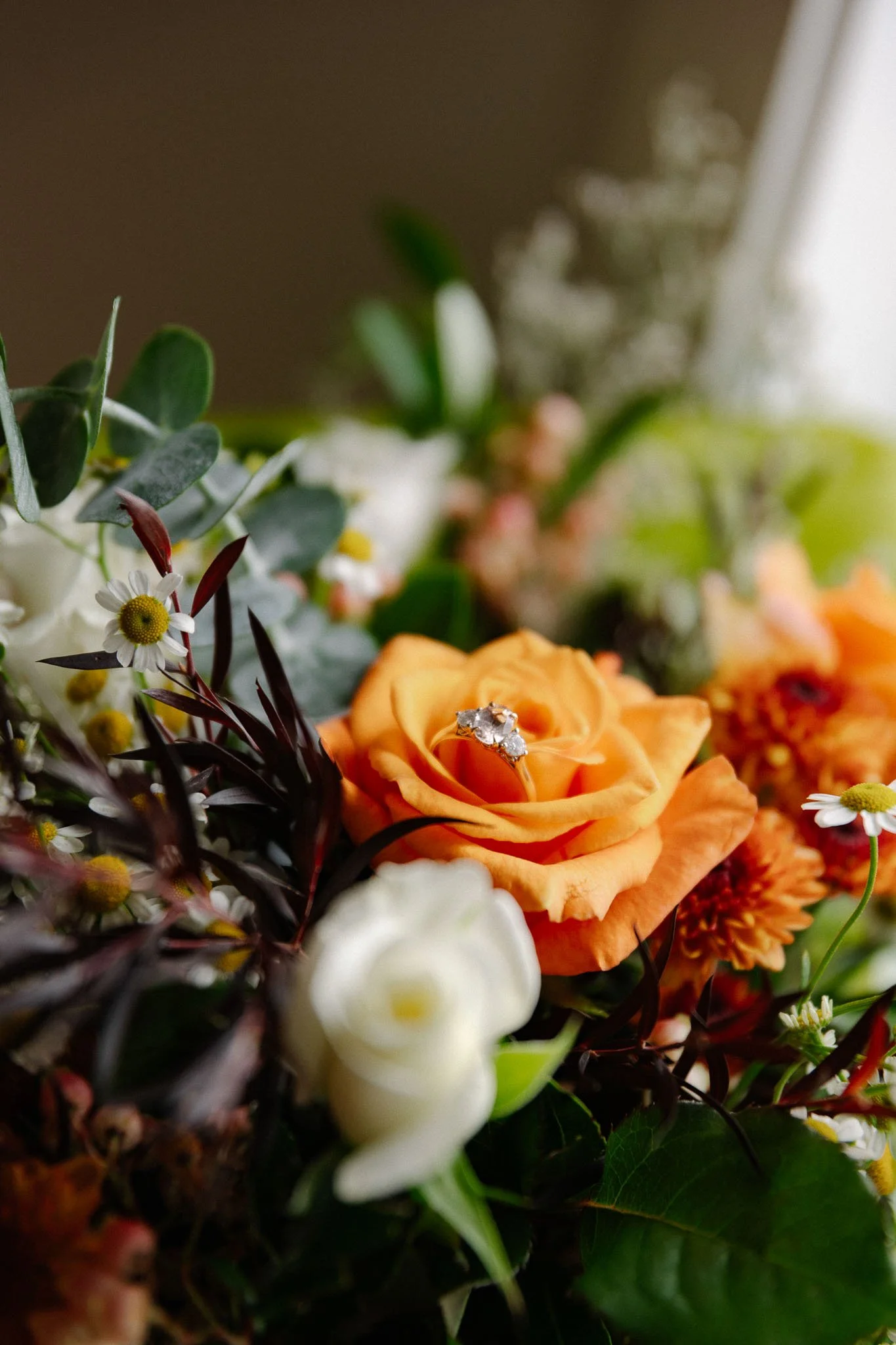 alysia shane wedding day photoshoot  christchurch canterbury new zealand cossar wineshed photoshoot wedding photography videography photographer videographer Kate Kish-11.jpg
