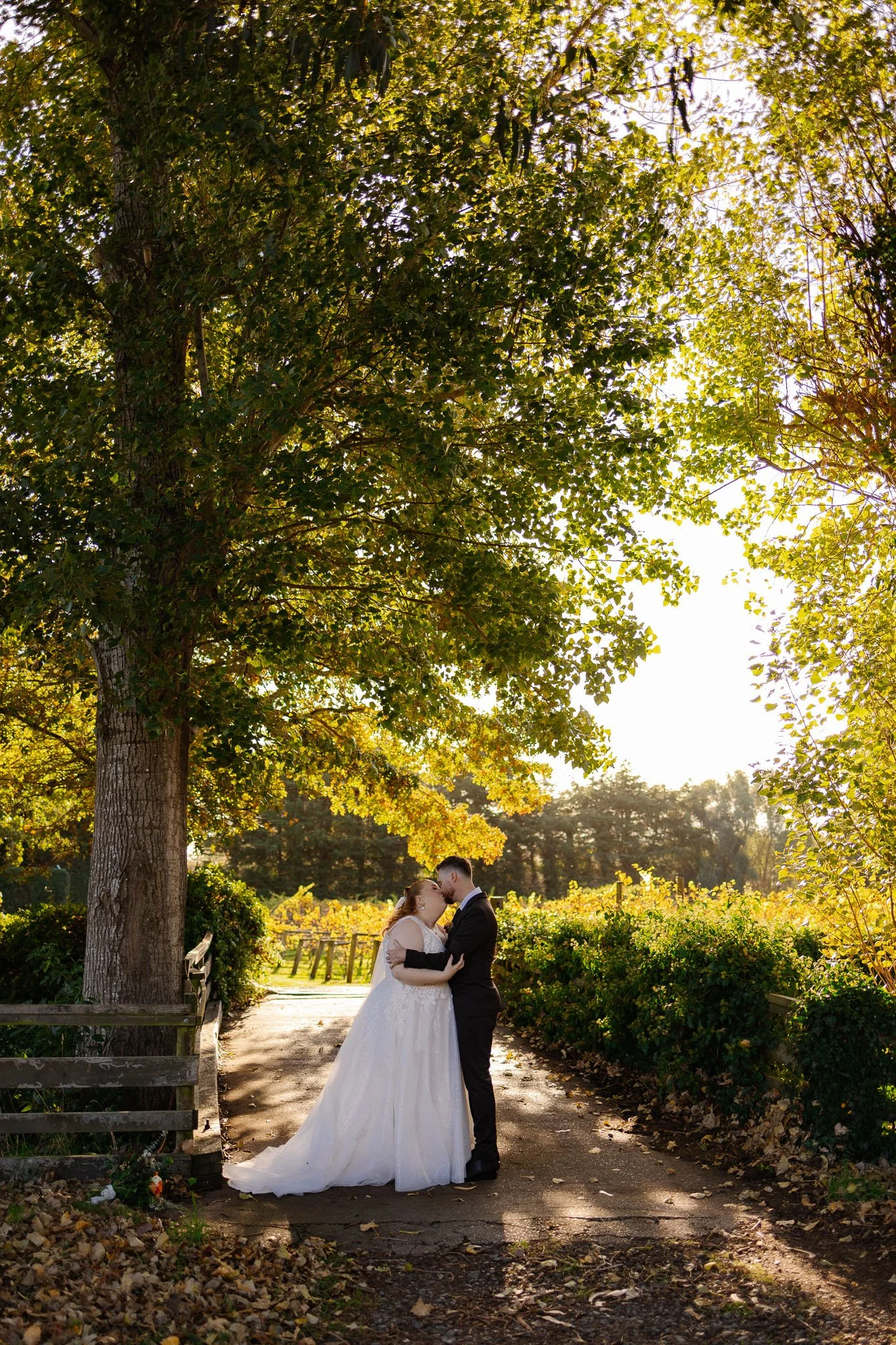 ceremony alysia shane wedding day photoshoot  christchurch canterbury new zealand cossar wineshed photoshoot wedding photography videography photographer videographer Kate Kish-37.jpg