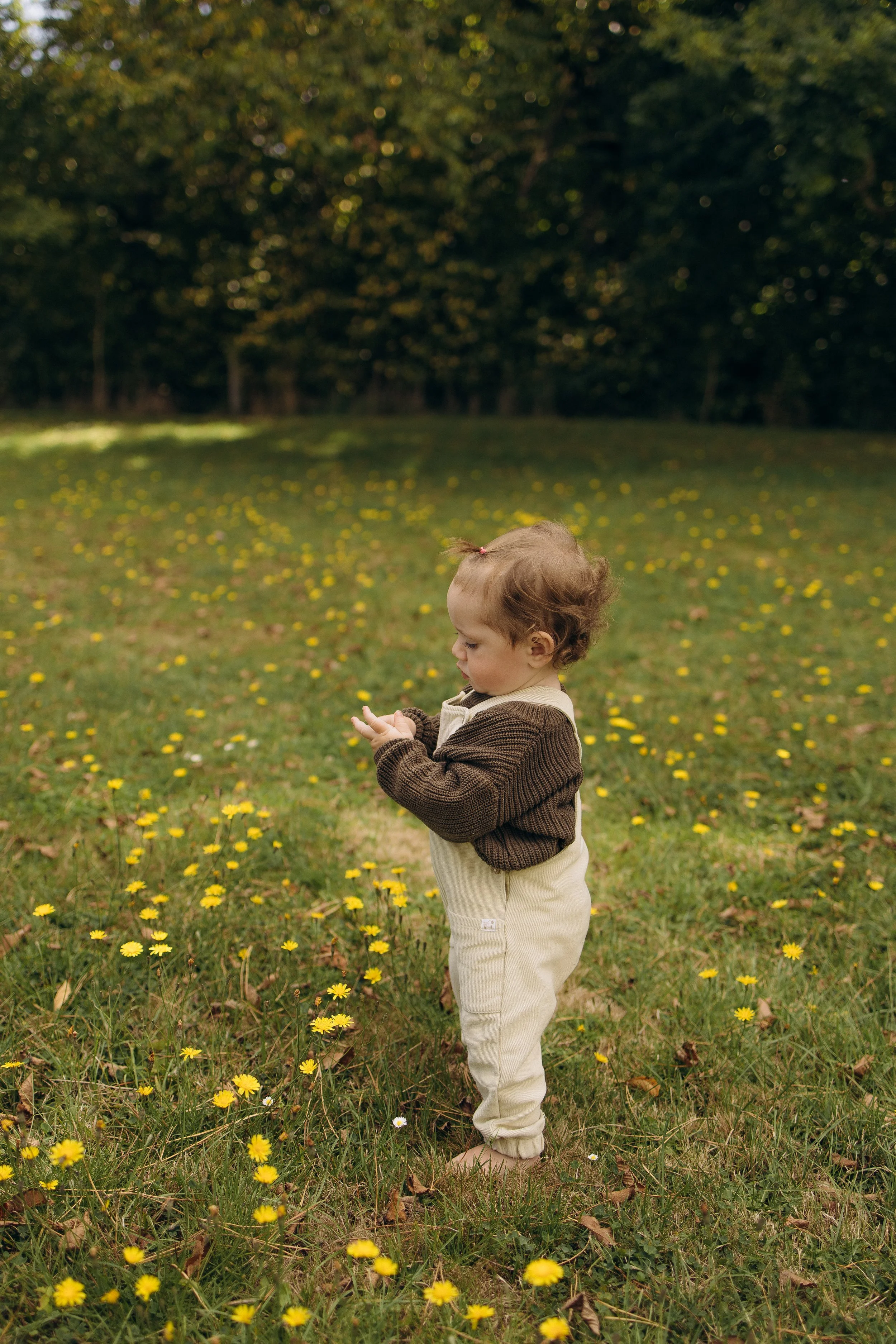 A young child playing in a field of yellow flowers with a brown sweater and light-colored pants.