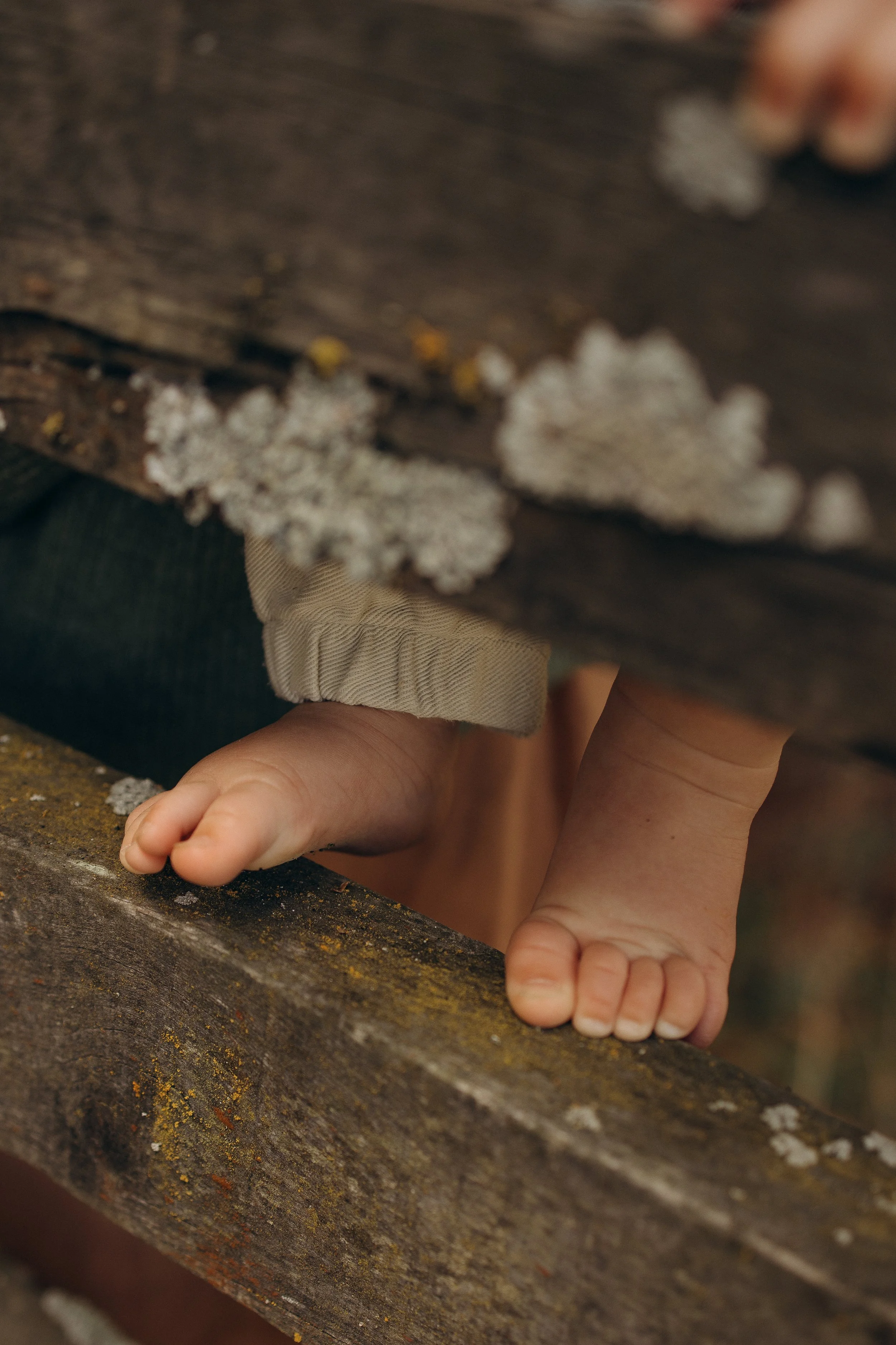 Close-up of child's feet on wooden beam with lichen.