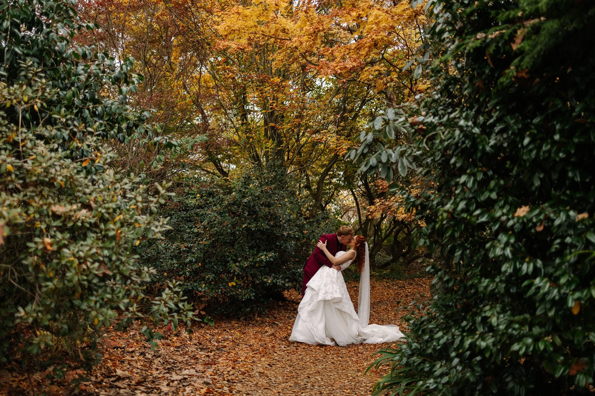 Gabriella and Jan kissing between garden hedges at Trott’s Garden