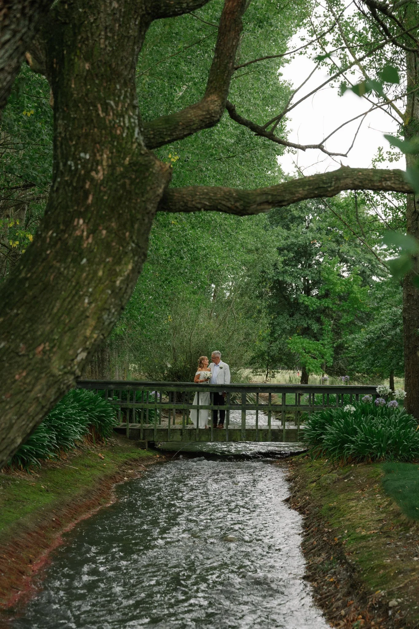 A couple in wedding attire standing on a small bridge over a creek in a lush, green park. Large trees with thick trunks surround the scene, and the couple is gazing at each other.