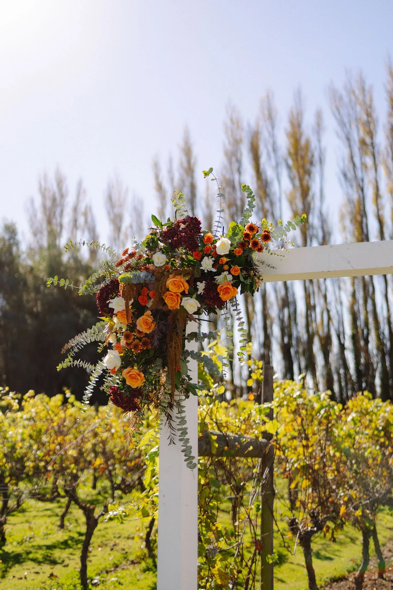 ceremony alysia shane wedding day photoshoot  christchurch canterbury new zealand cossar wineshed photoshoot wedding photography videography photographer videographer Kate Kish-11.jpg