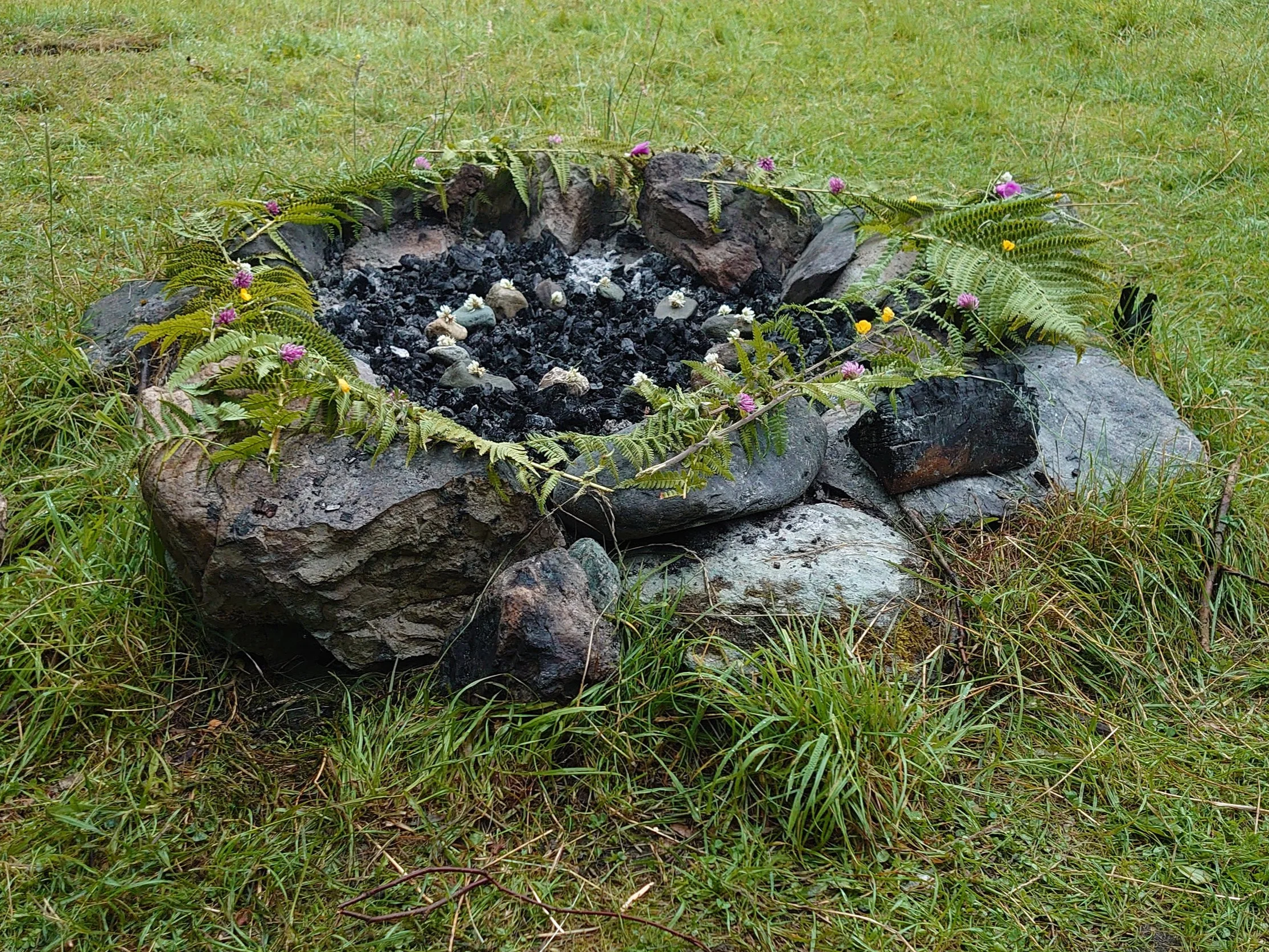 A fire pit made of rocks, with burnt ashes and small stones inside, decorated with green ferns and small pink, purple, and yellow flowers on the grass