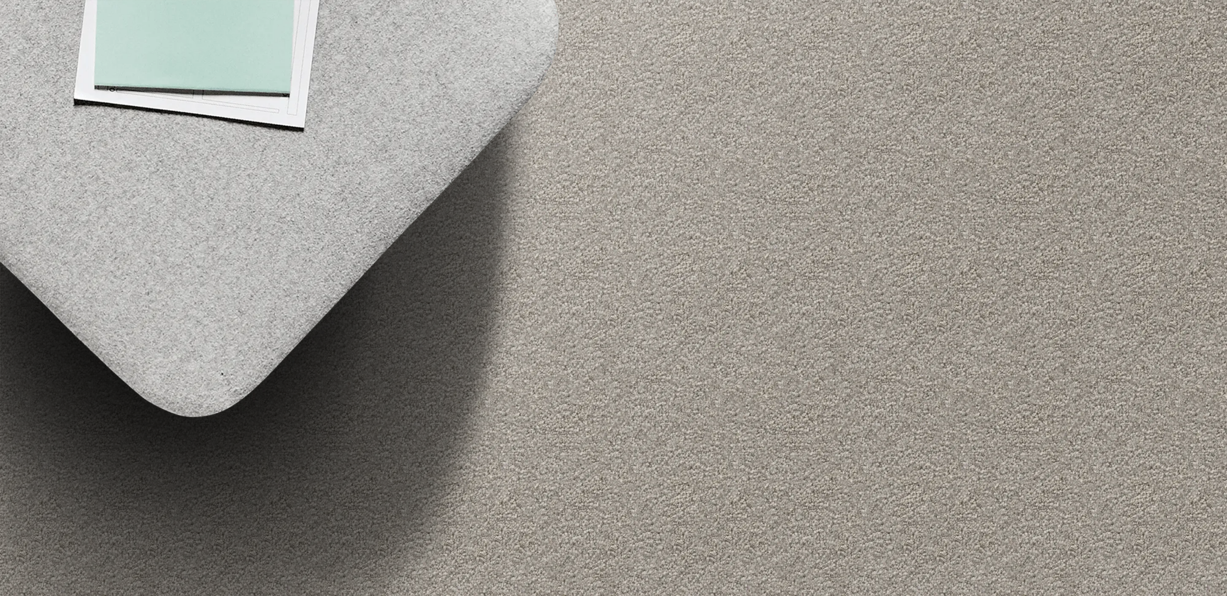 Te Arai Bay Silver Needle.png