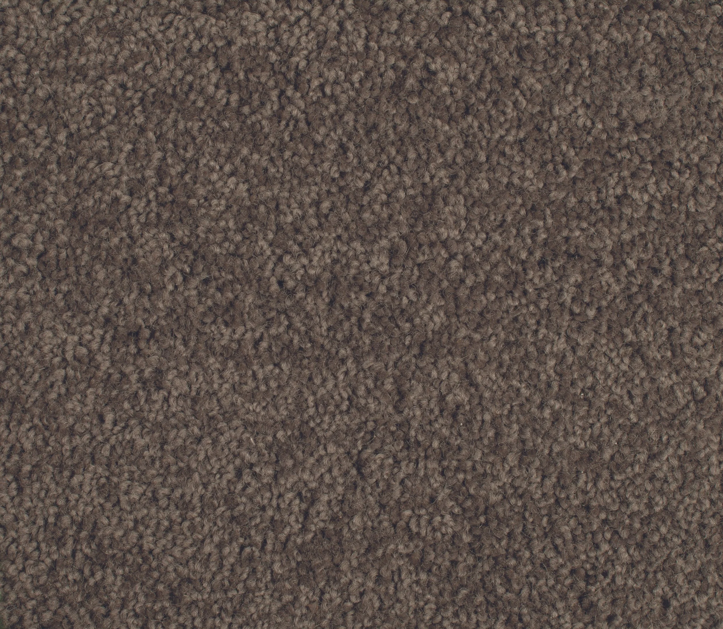 FTX Grandiose Woodland 580 Wool.jpg