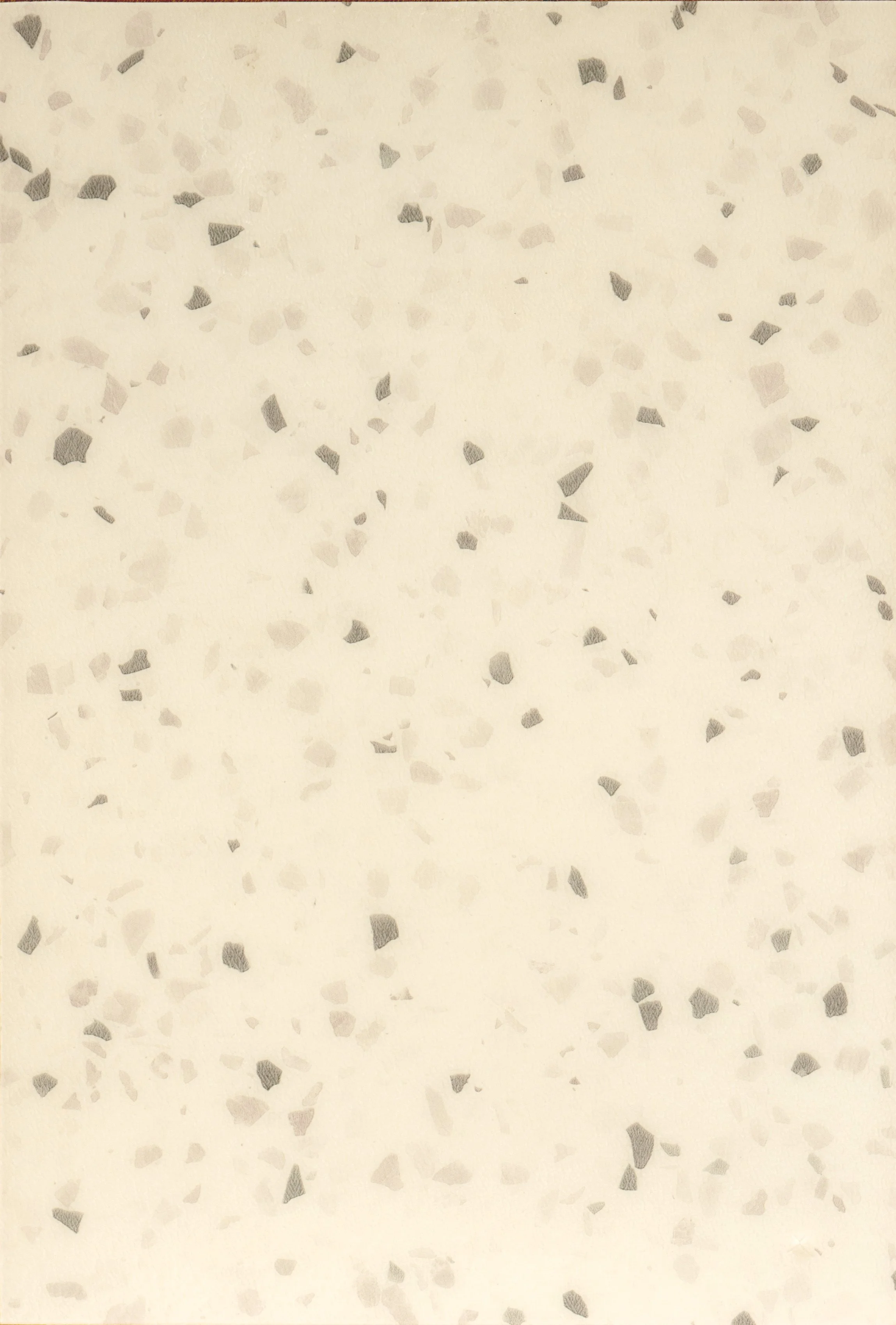 Terrazzo Matera Graphite.jpg