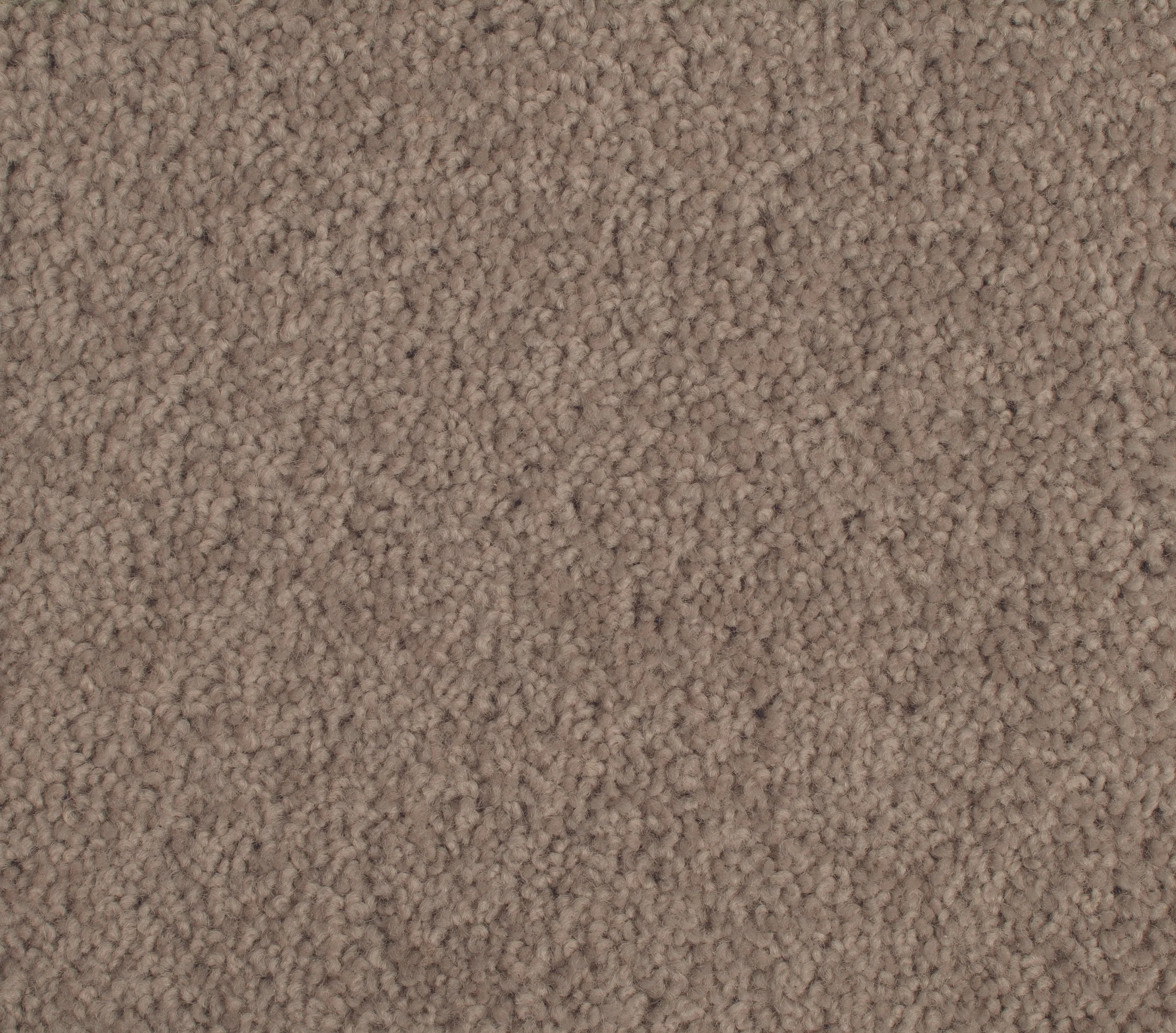 GH Enchant Greywacke 905 .jpg