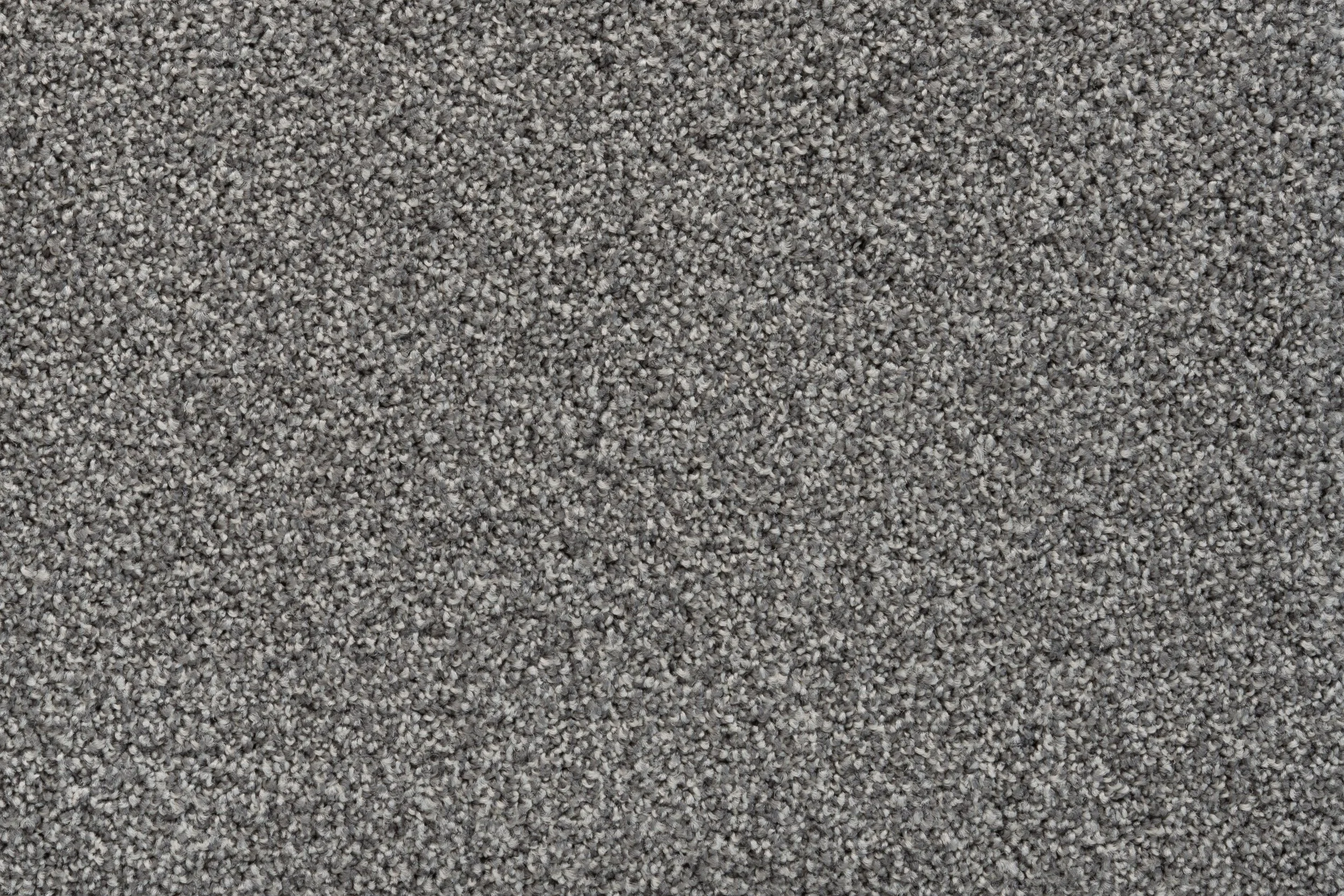 2023_GH_Columbia_0730_Truffle_SDN.jpg
