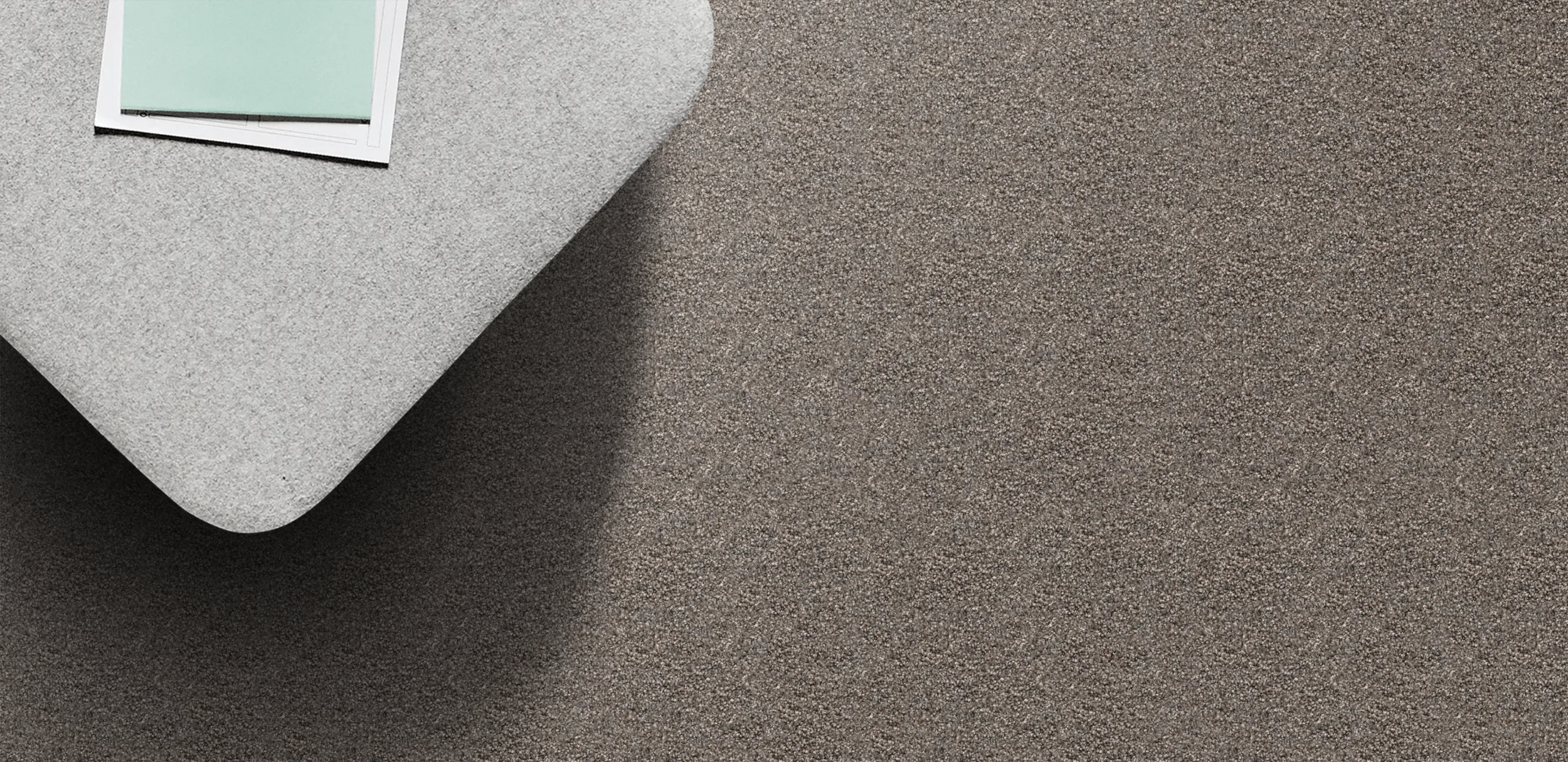 Te Arai Bay Cockle.png