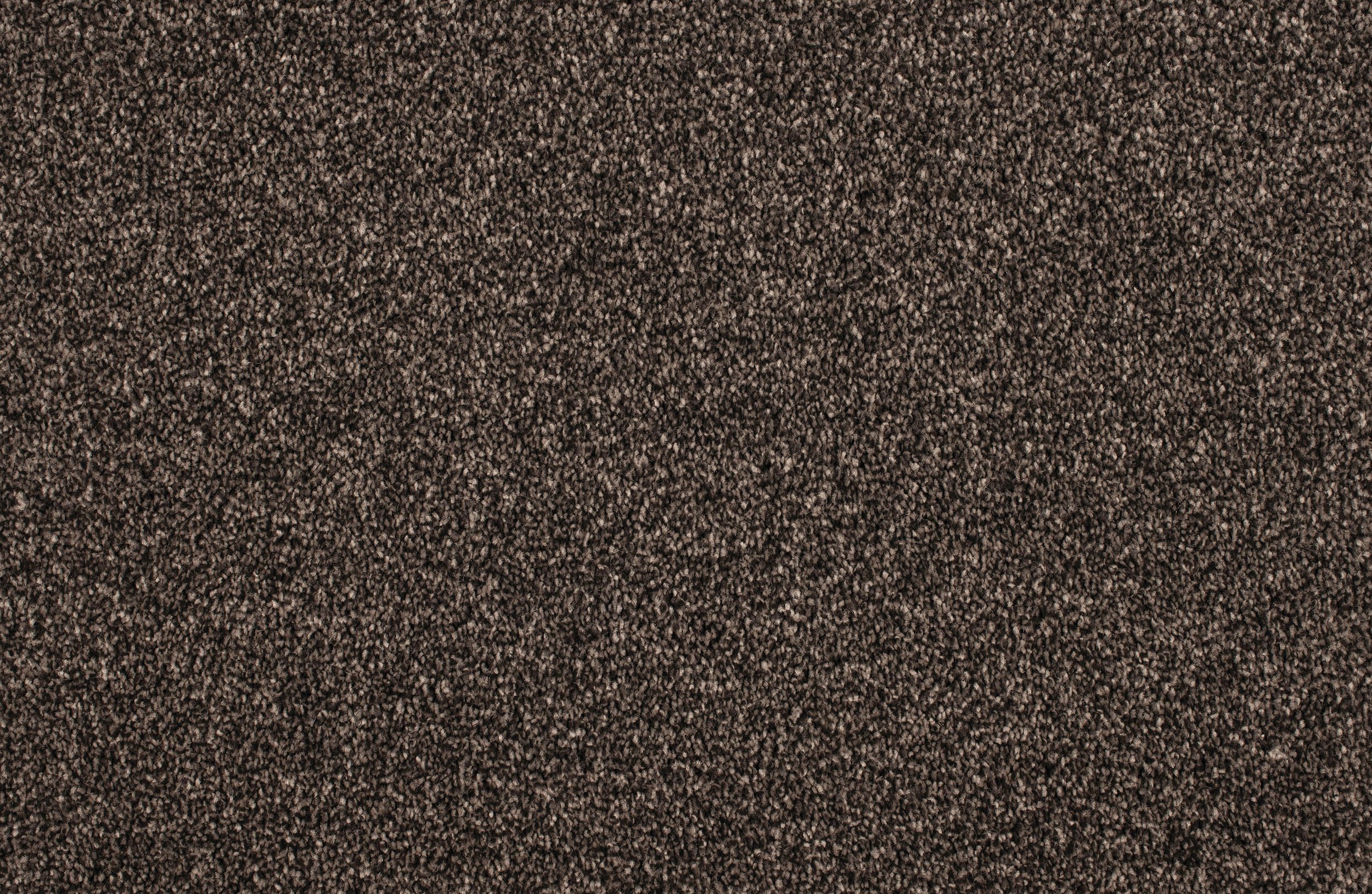 2019_GH_Polyester_Idaho_095171_Diesel5505_D3X_2817.jpg
