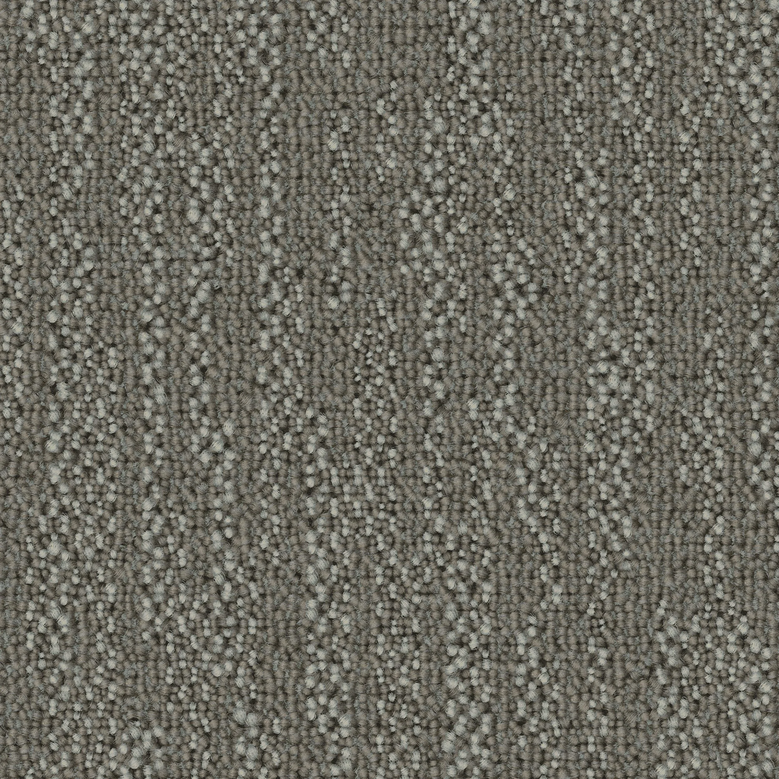 Forge Ahead 15 Toffee.jpg