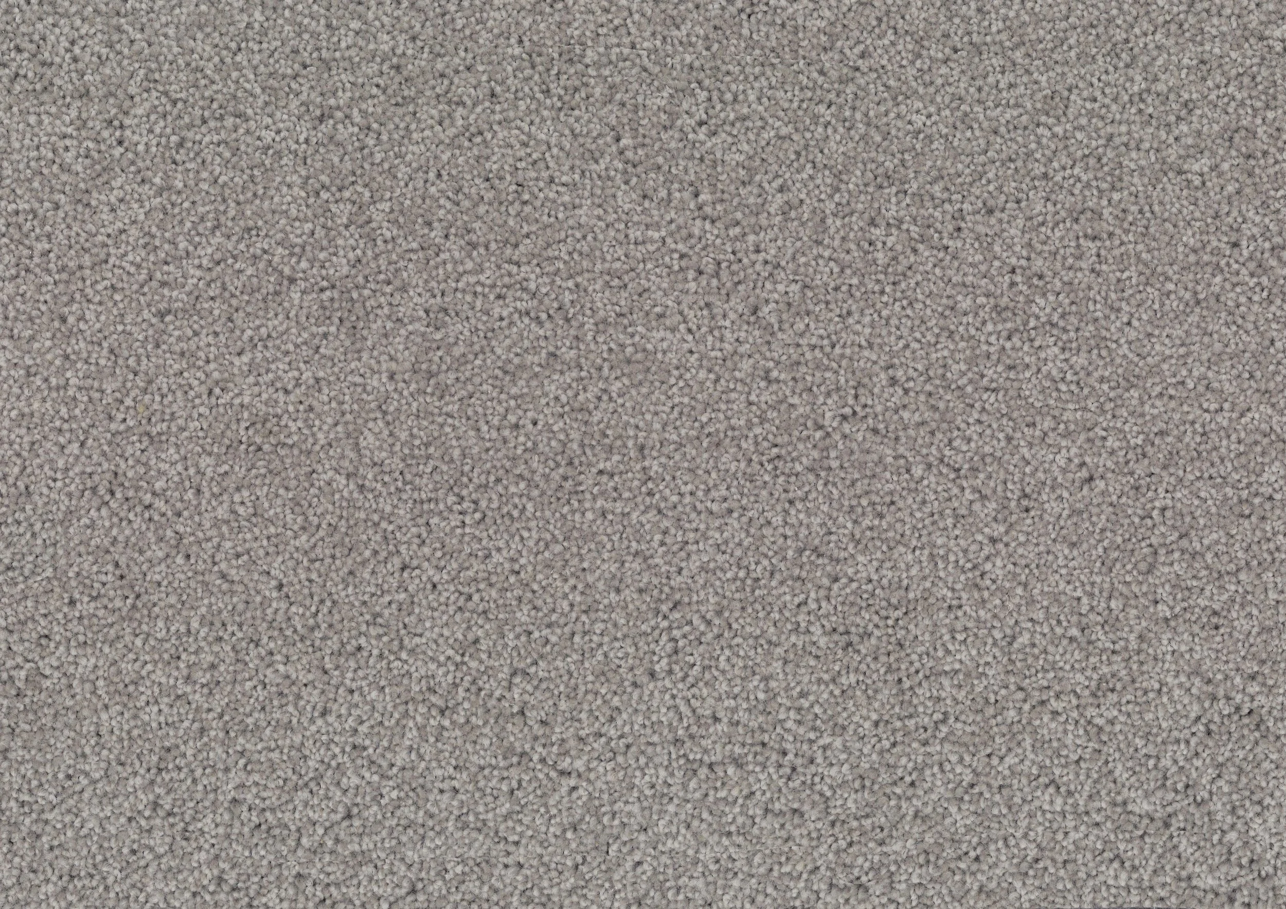 Grand-Luxury-Blue-Fescue-733.jpg