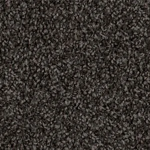 Pearl Bay Paua.jpg