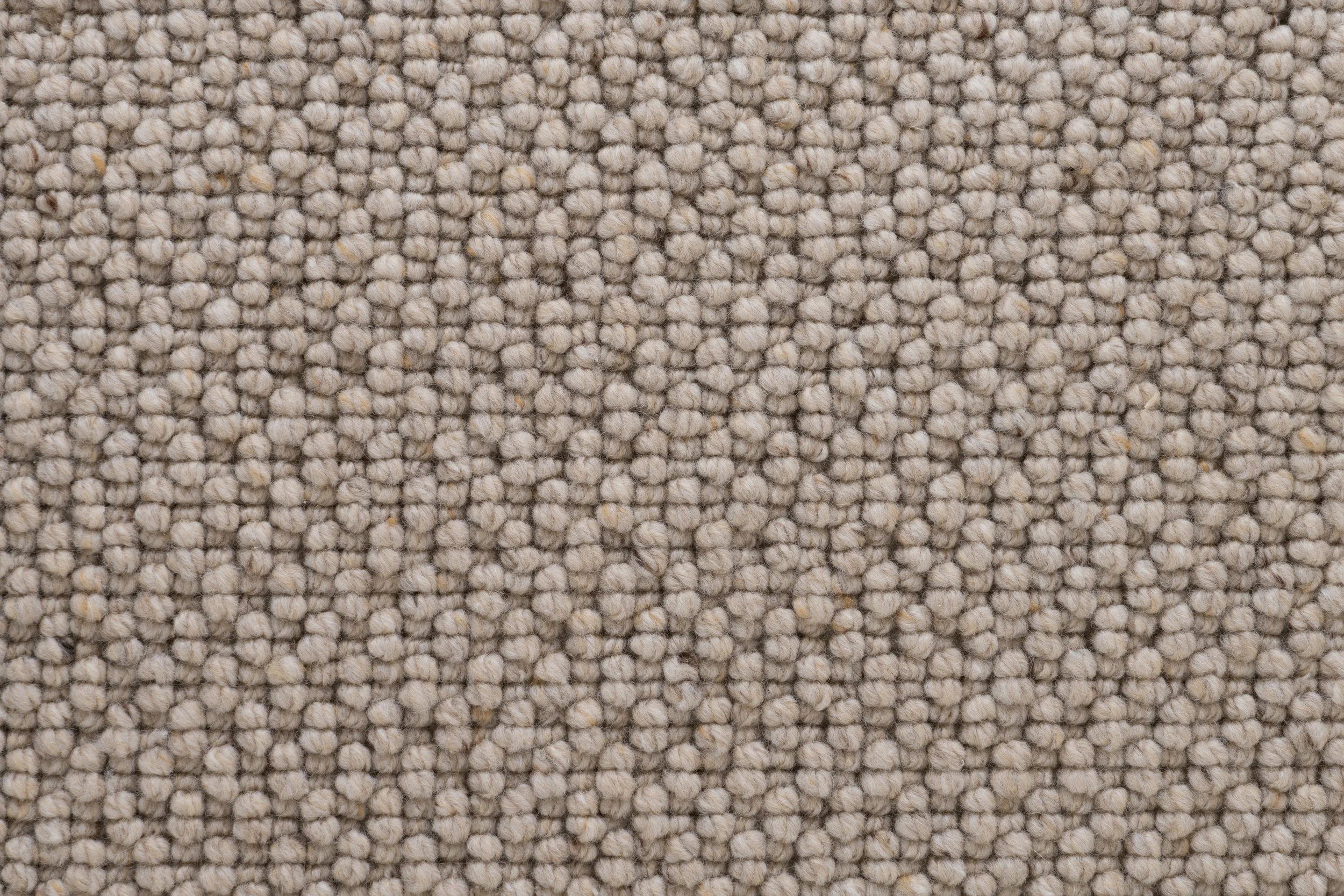 FTX Wool Hampshire Salisbury 330.jpg