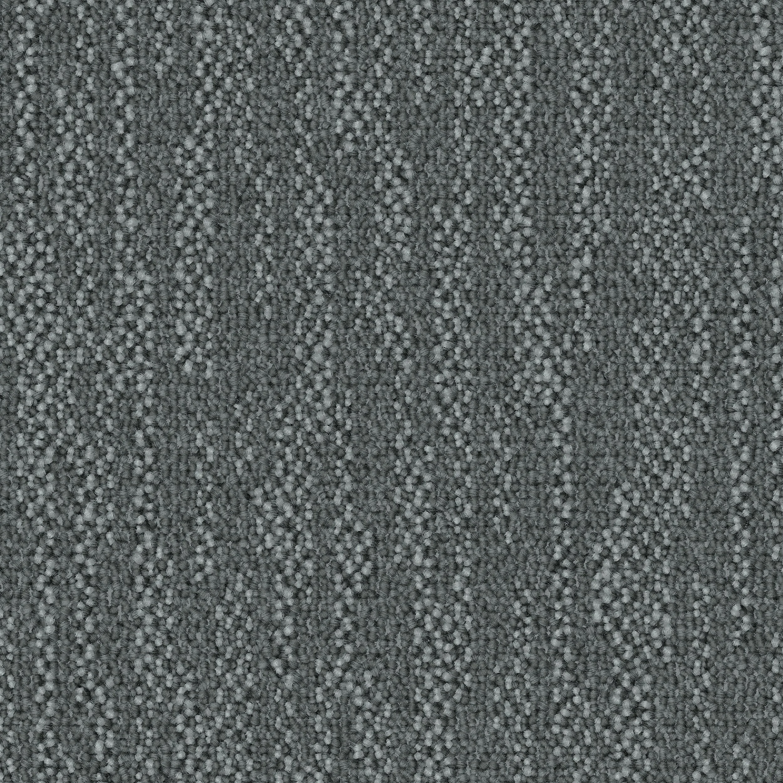 Forge Ahead 91 Vivid Silver.jpg