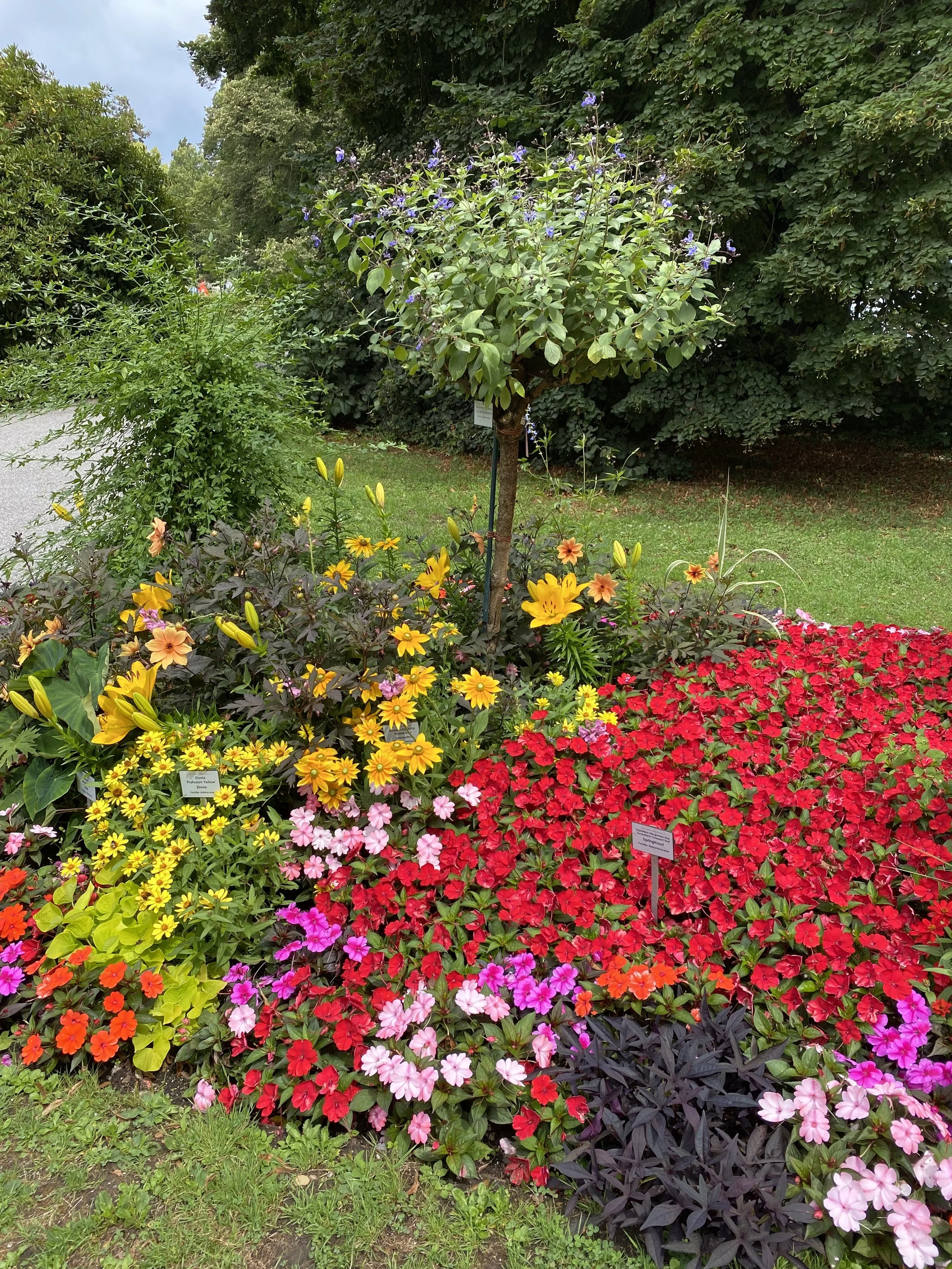 Steuerfuss Vergleich Gemeinden SZ 2024 - 2026