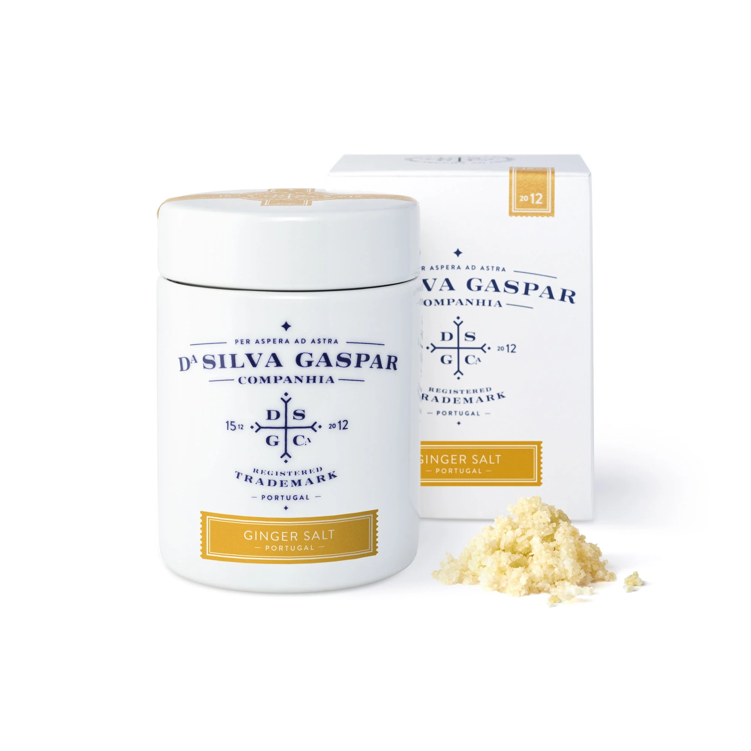 GINGER SALT