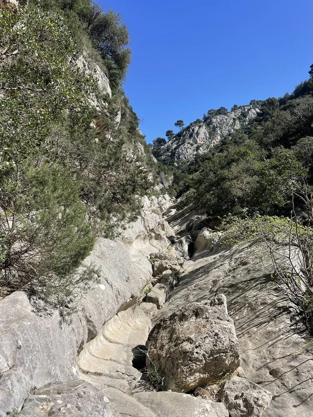 gorges-destel-var.JPEG