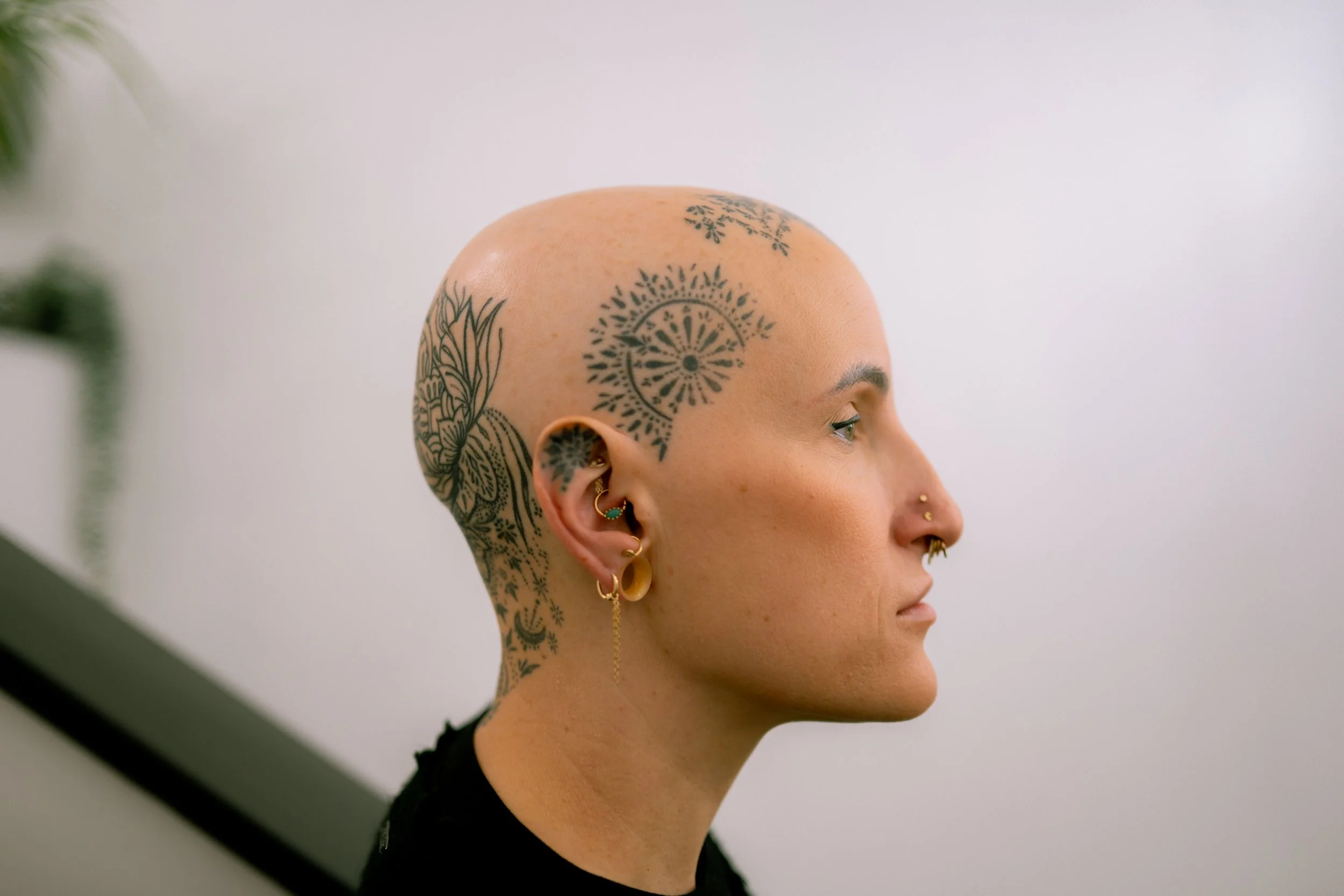 DSC_6233.jpg