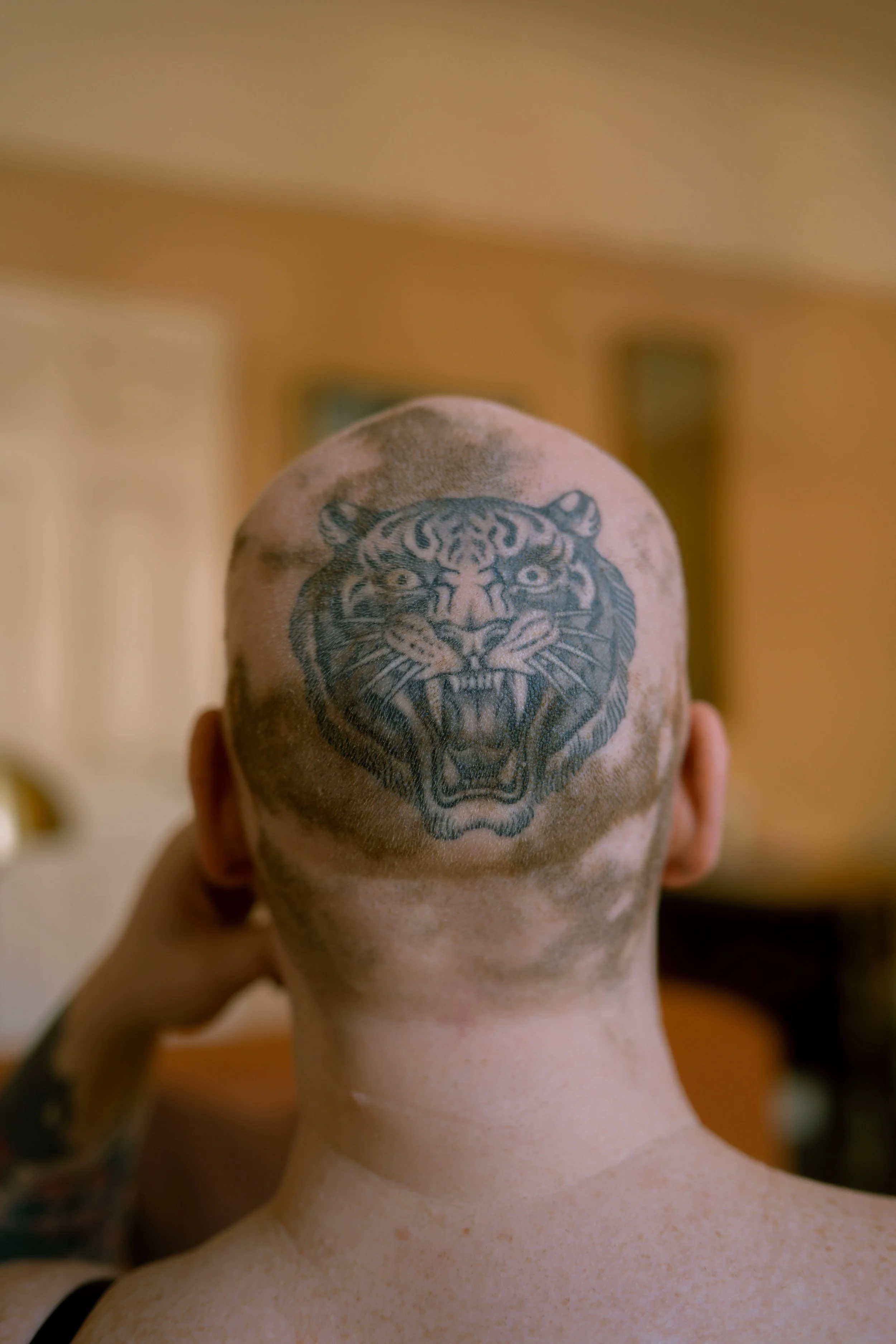 DSC_8267.jpg