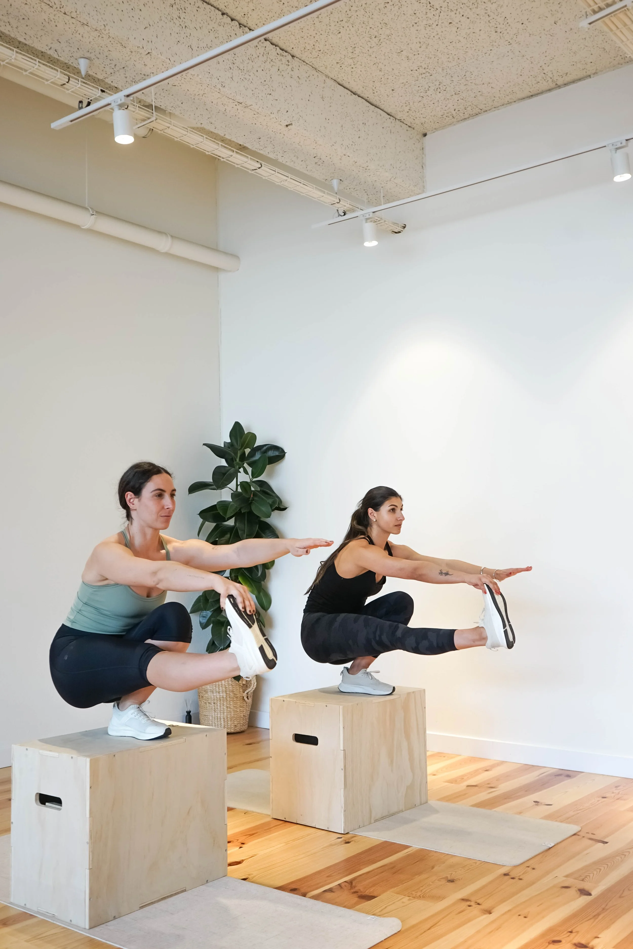 Duo de treino funcional com box no Plenum Studio