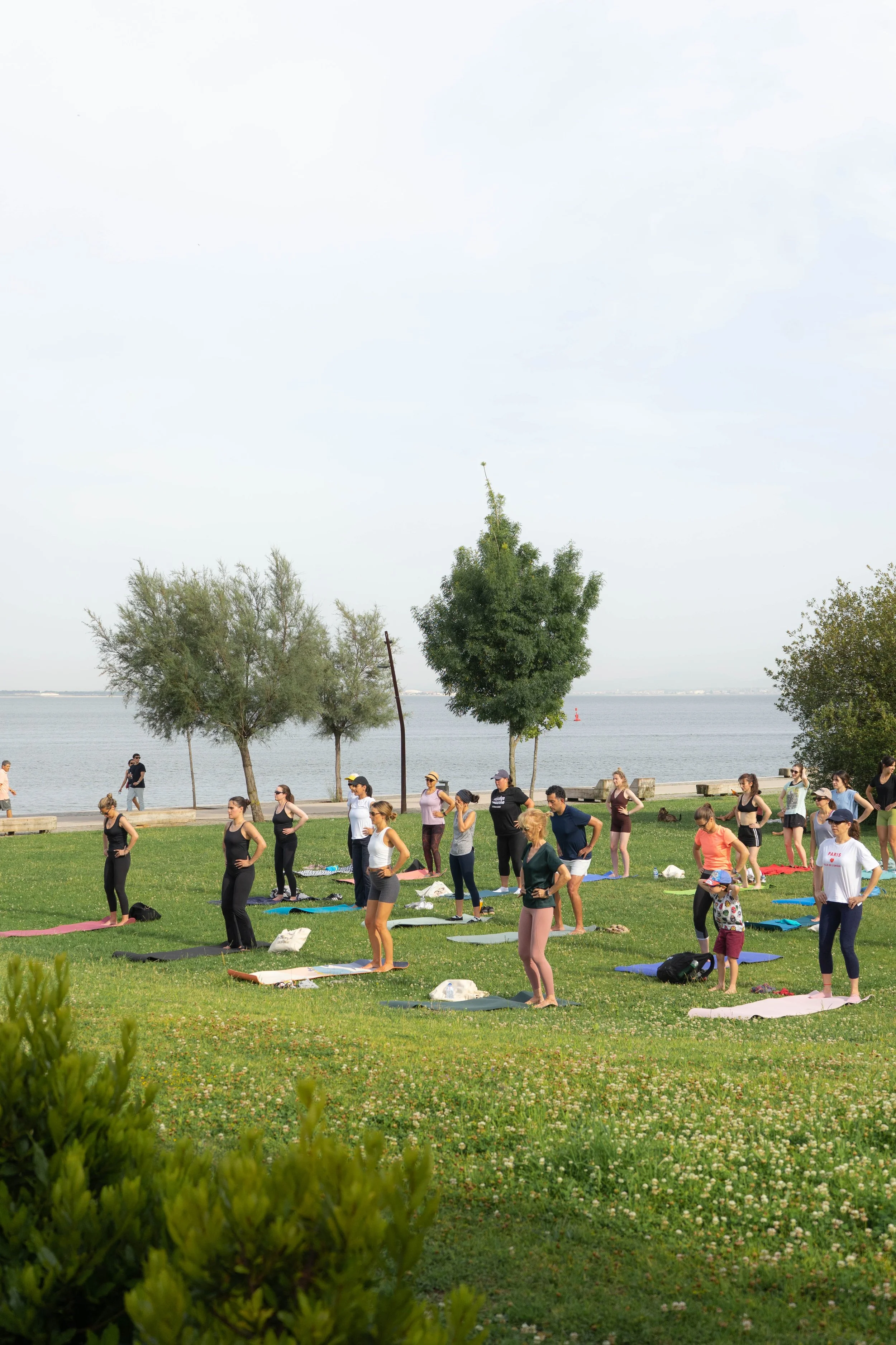 Grupo a praticar Pilates ao ar livre num evento do Plenum Studio Lisboa