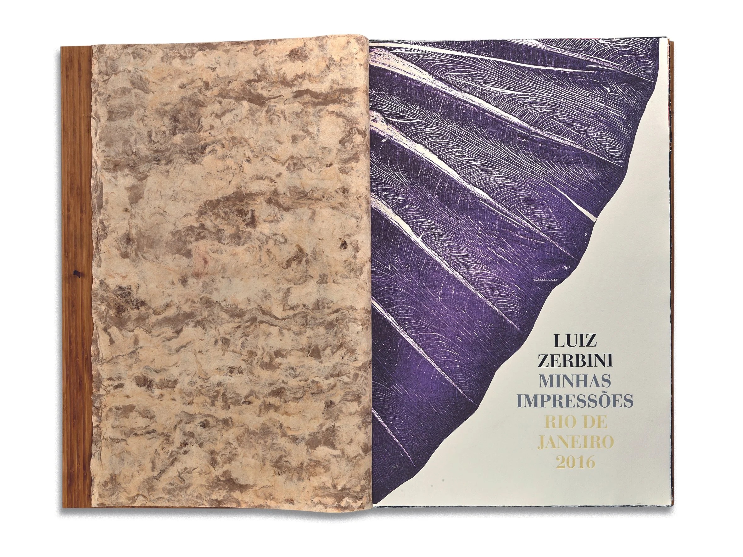 Zerbini_livro 22000.jpeg