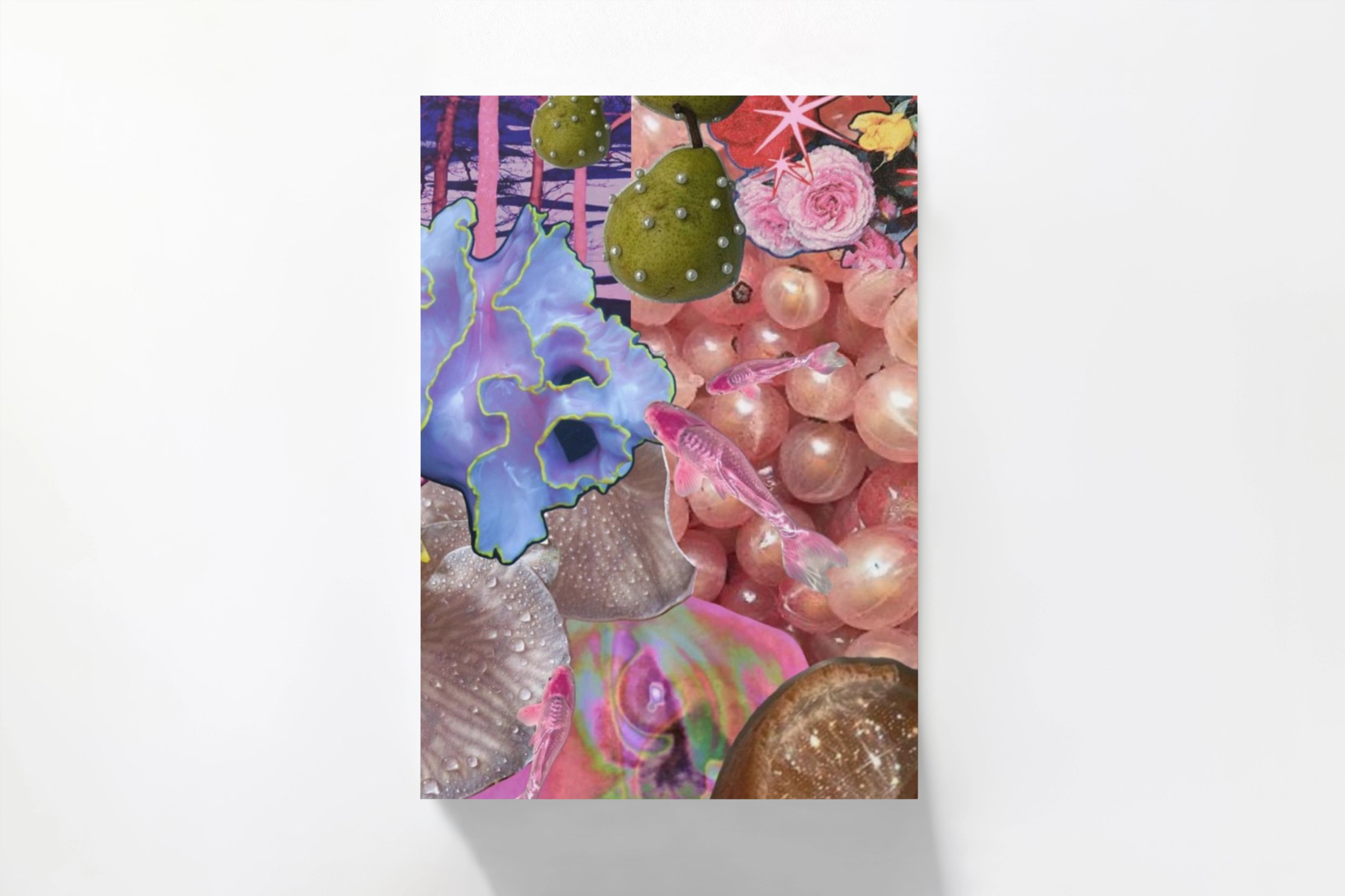 Carte postale - Studio Rose