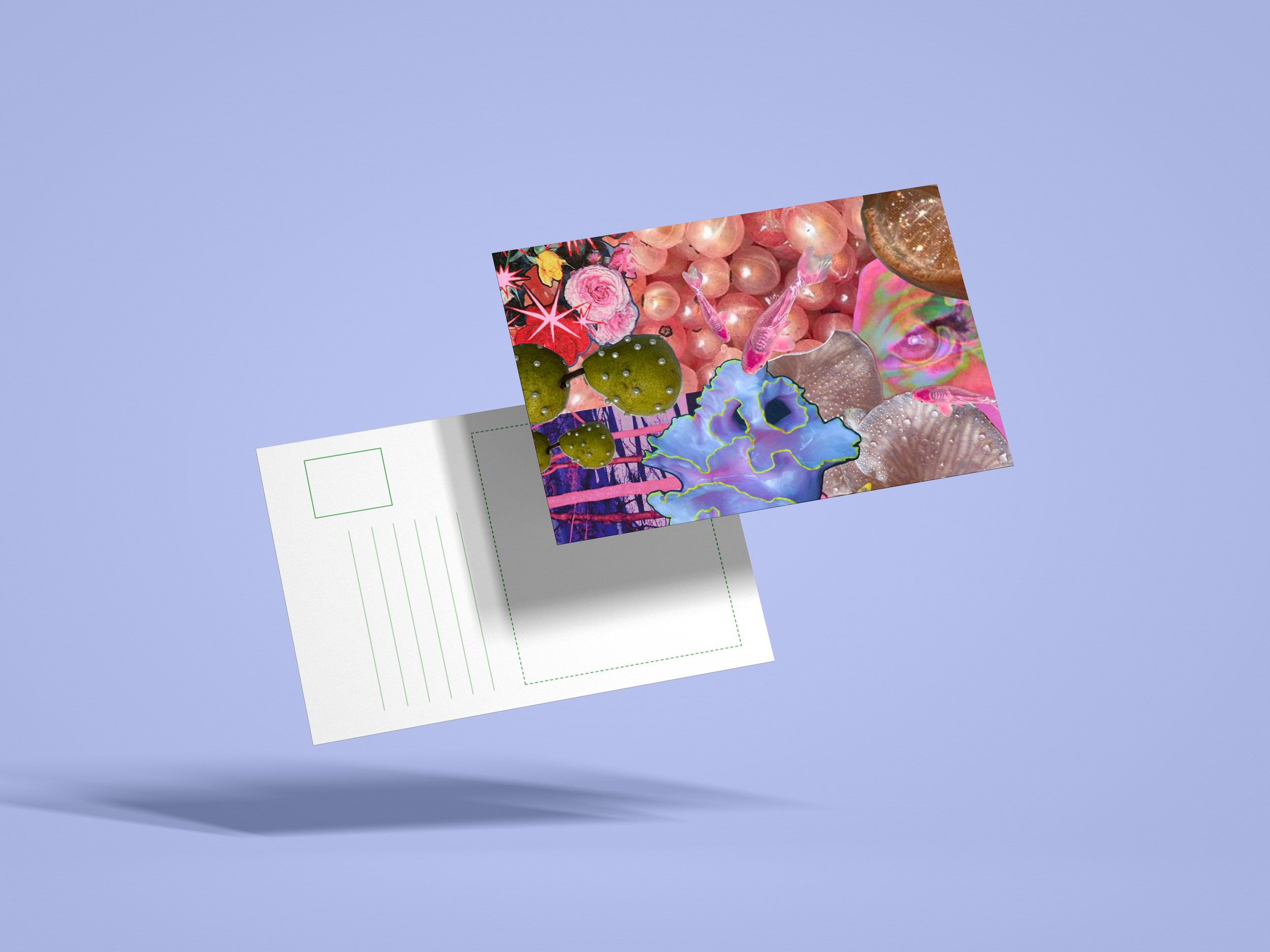 Studio rose.png