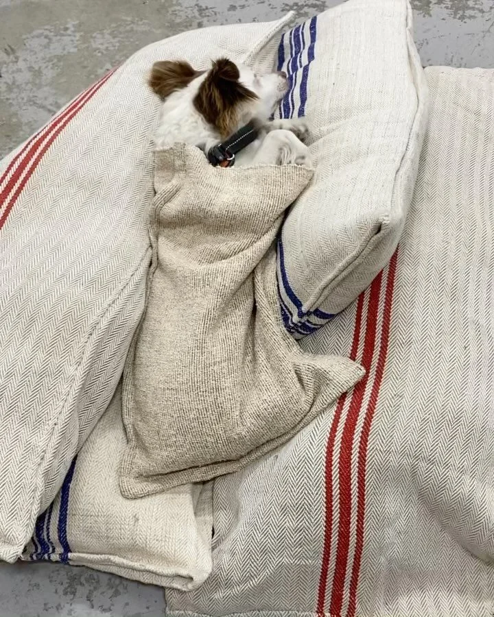 Oban appreciates good quality sacks 👌🏻 Made for Loki season 2 Chicago world fair episode #drapes #drapesfortvandfilm #drapesfortv