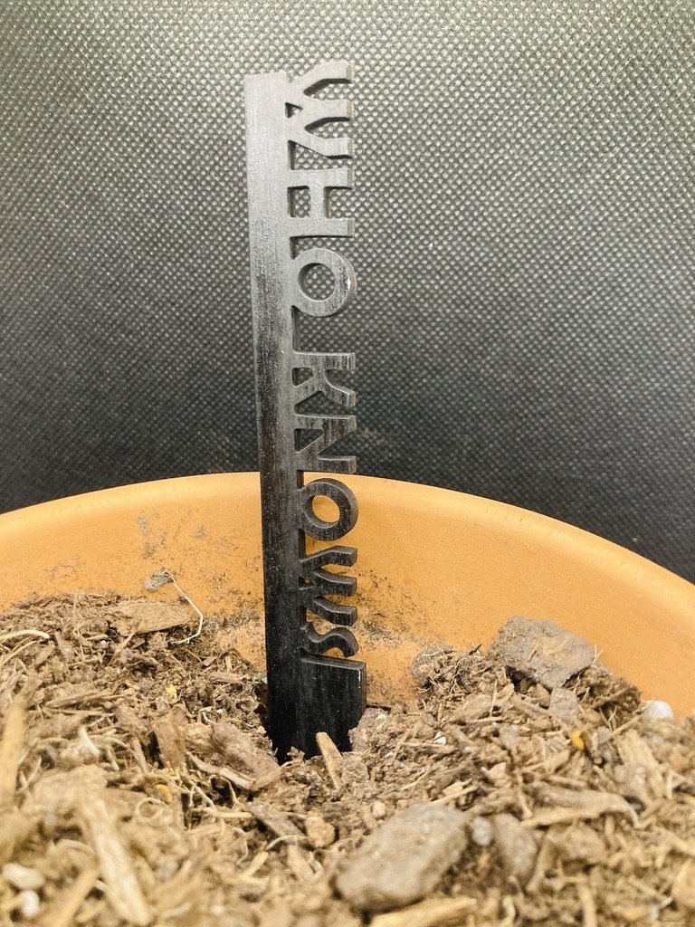 0B1048C1-9155-4472-8BF0-DE52E3500D60_1_105_c.jpeg