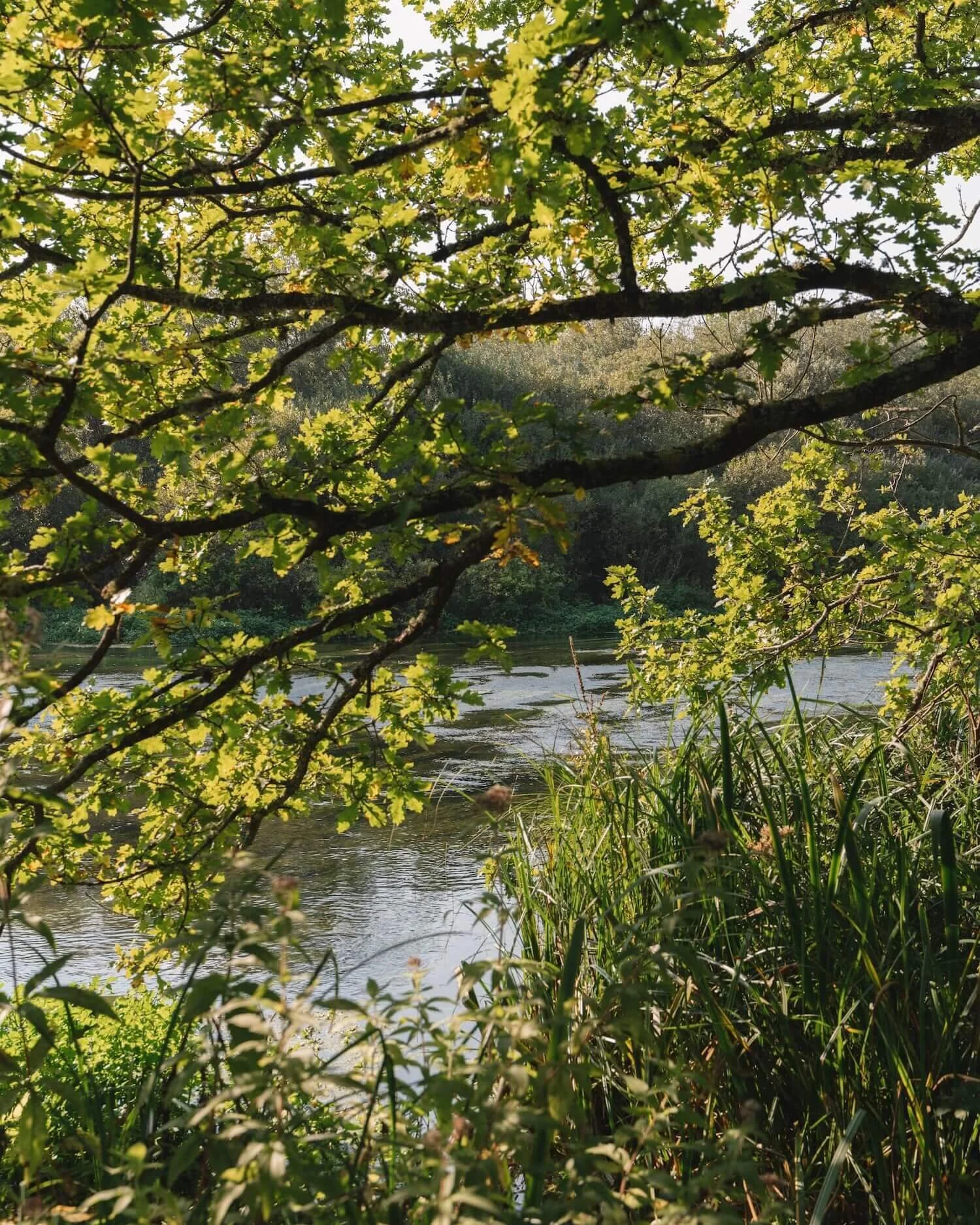 Itchen Valley Studio Holiday Accommodation Hampshire Chalk Stream