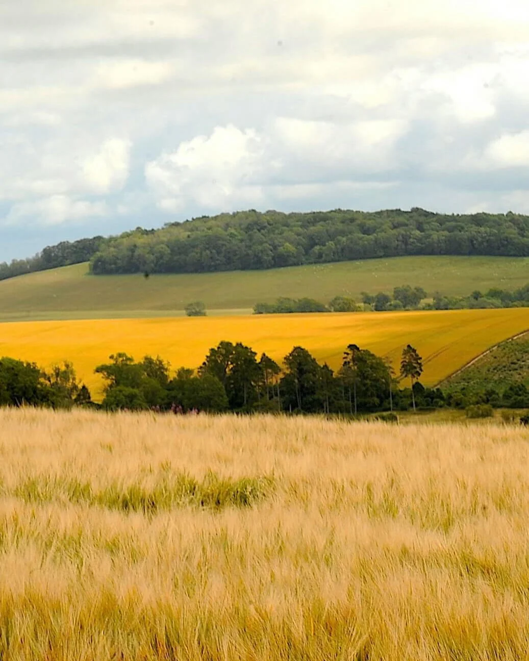 Itchen Valley Studio Holiday Accommodation Hampshire New Forest