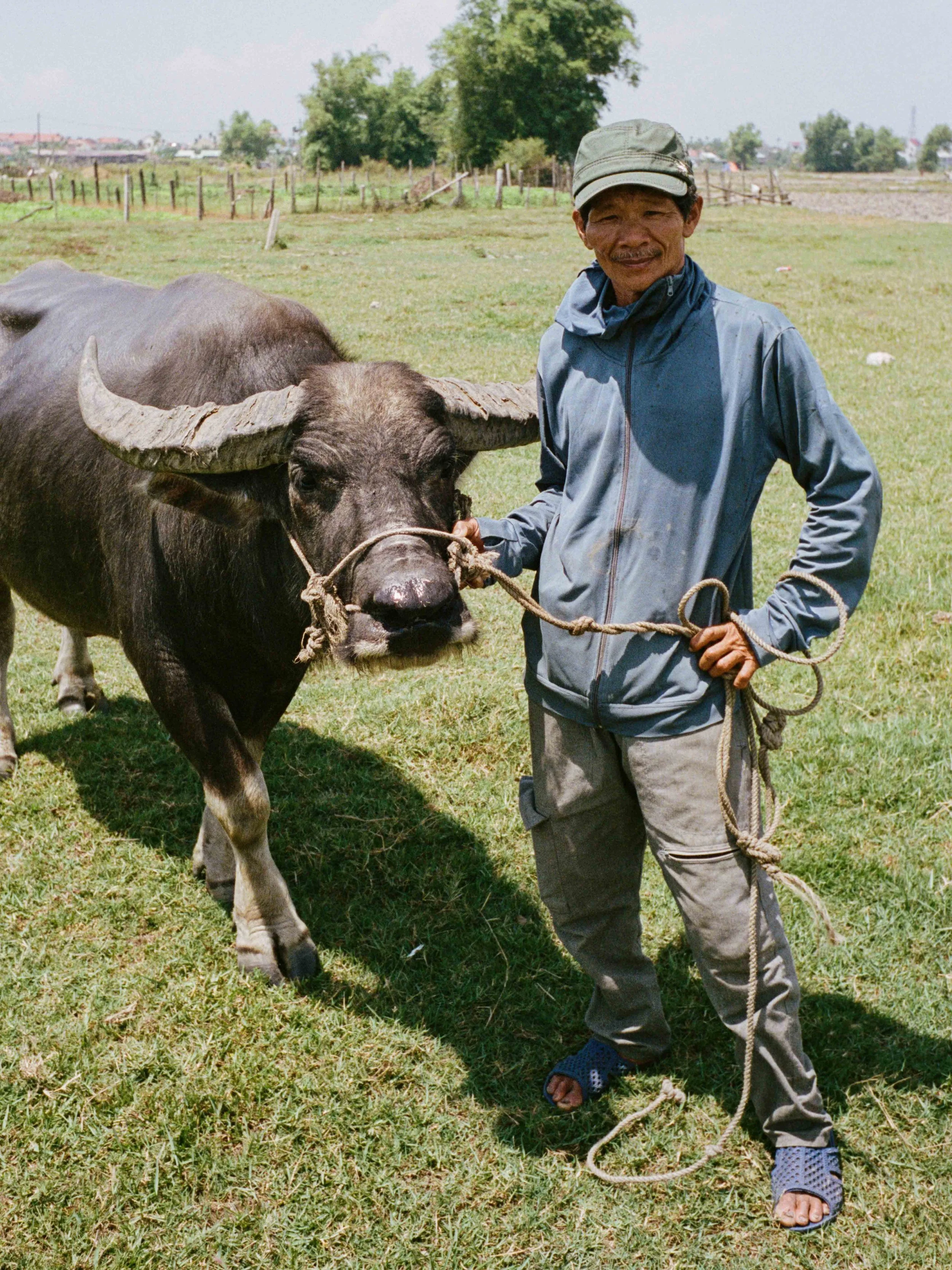 vietfilm-9.jpg