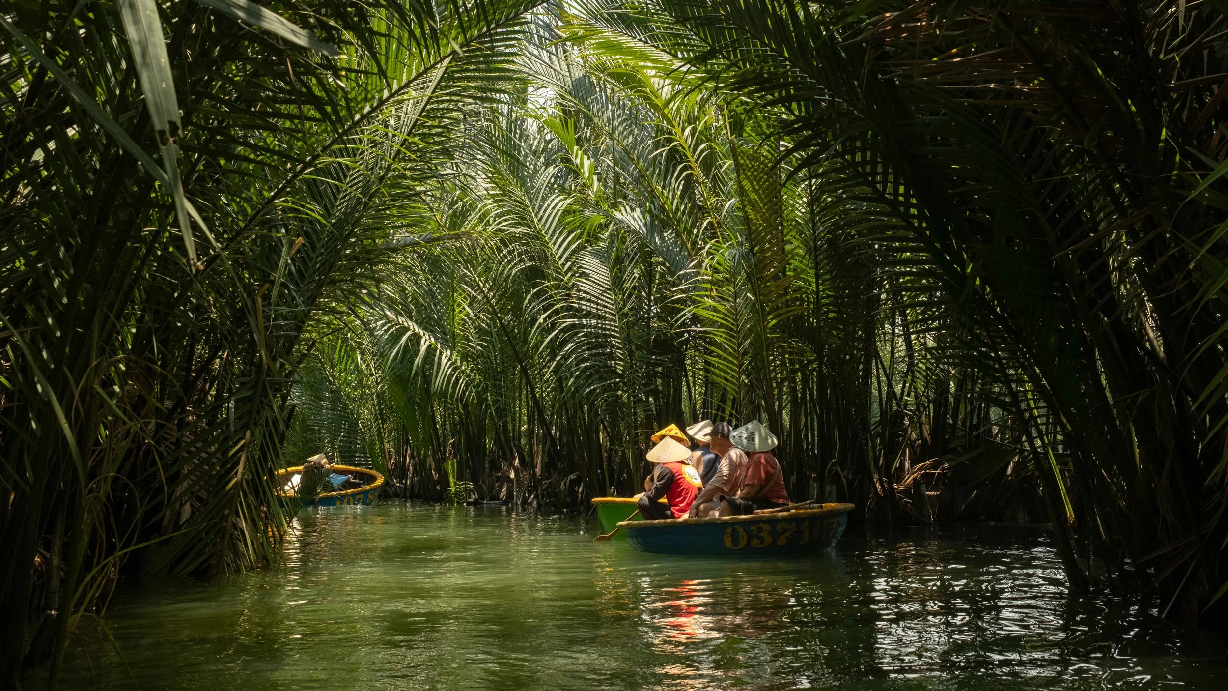 water-coconut-grove-vietnam.jpg