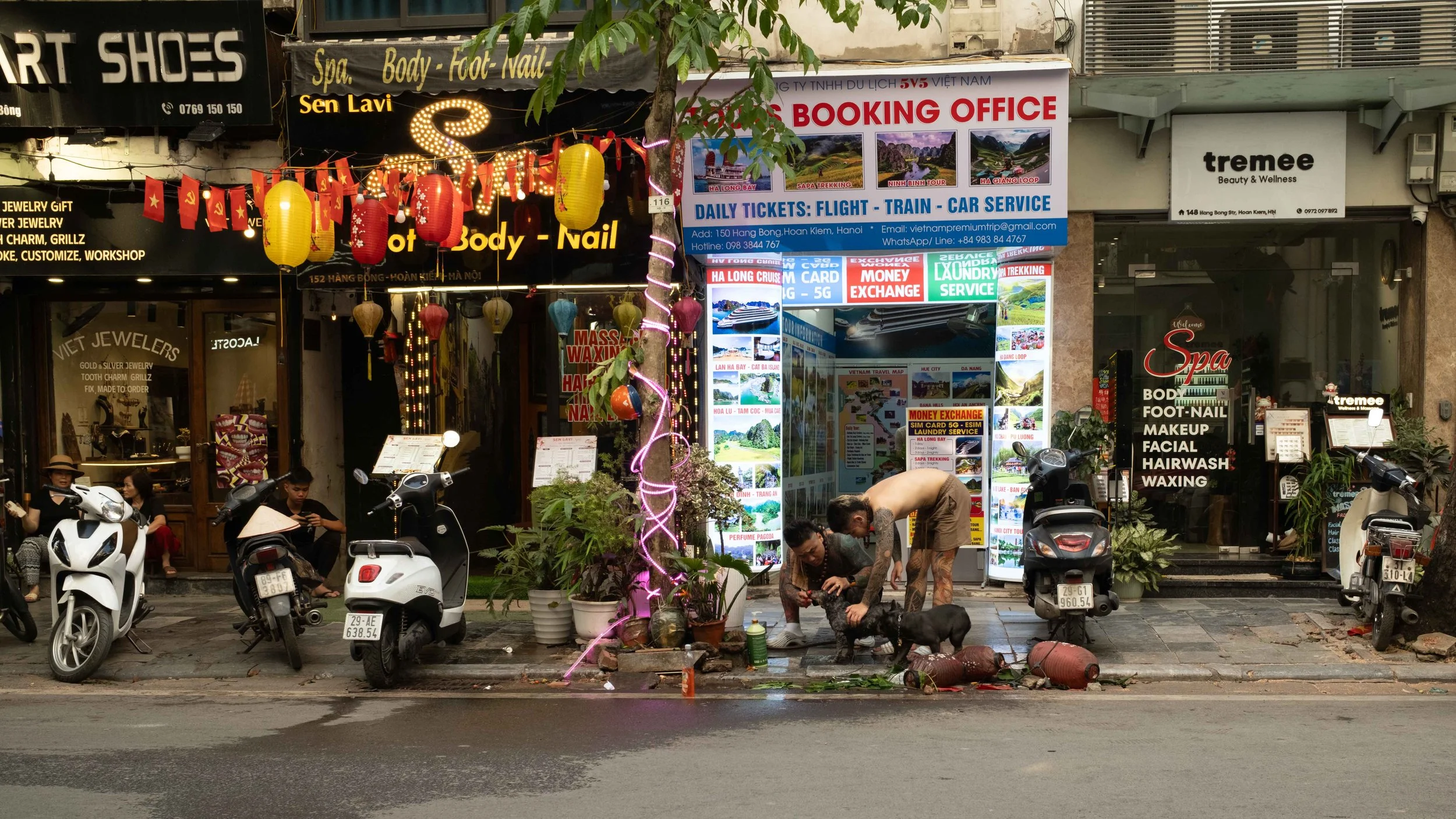 dog-grooming-hanoi.jpg