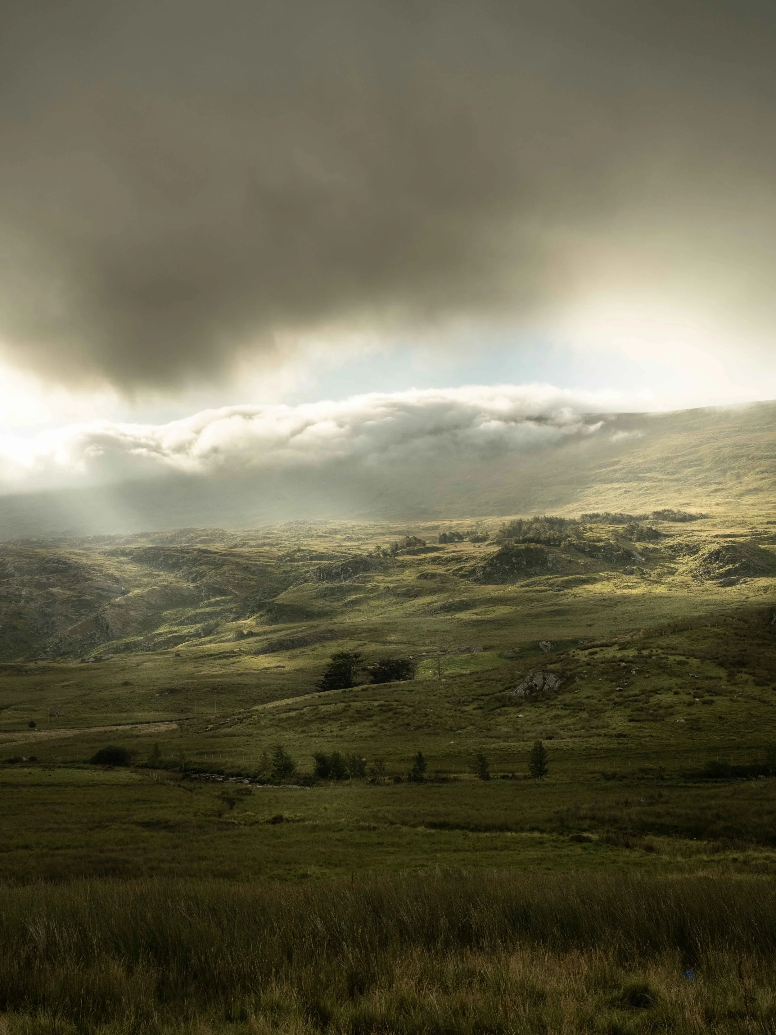 A green landscape with rolling hills, scattered trees, and dark clouds overhead, with sunlight breaking through in some areas.