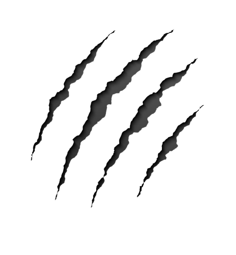 Five black claw marks or streaks on a white background.