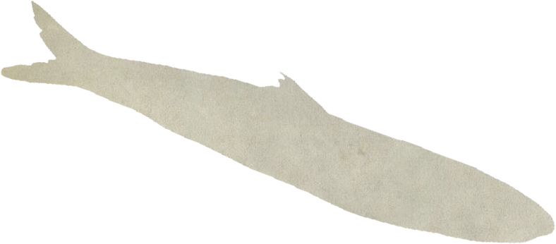 Silhouette of a sardine.