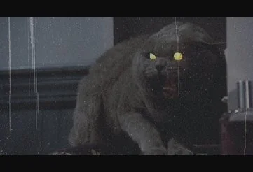 Church, the zombie cat in Pet Sematary