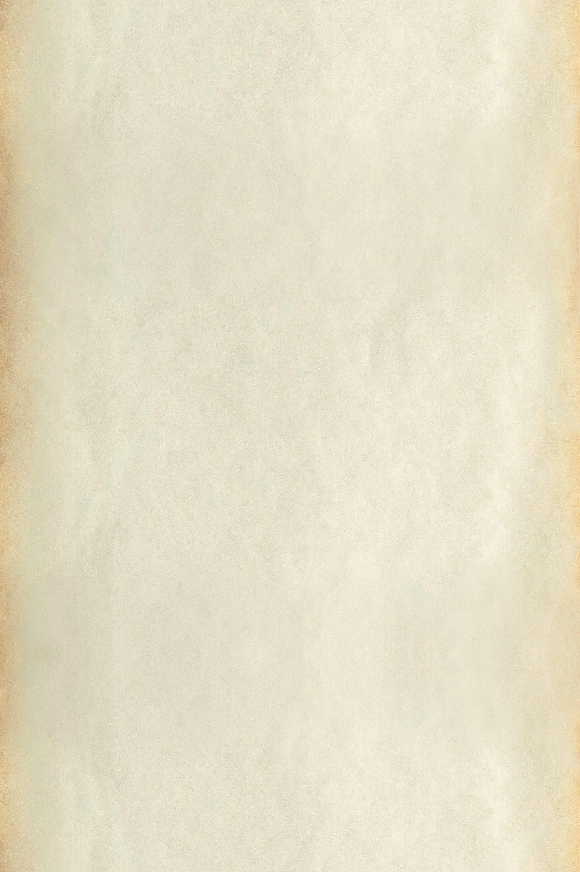 Blank sheet of aged, yellowed paper or parchment with burnt or stained edges.