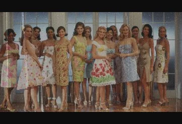The Stepford Wives