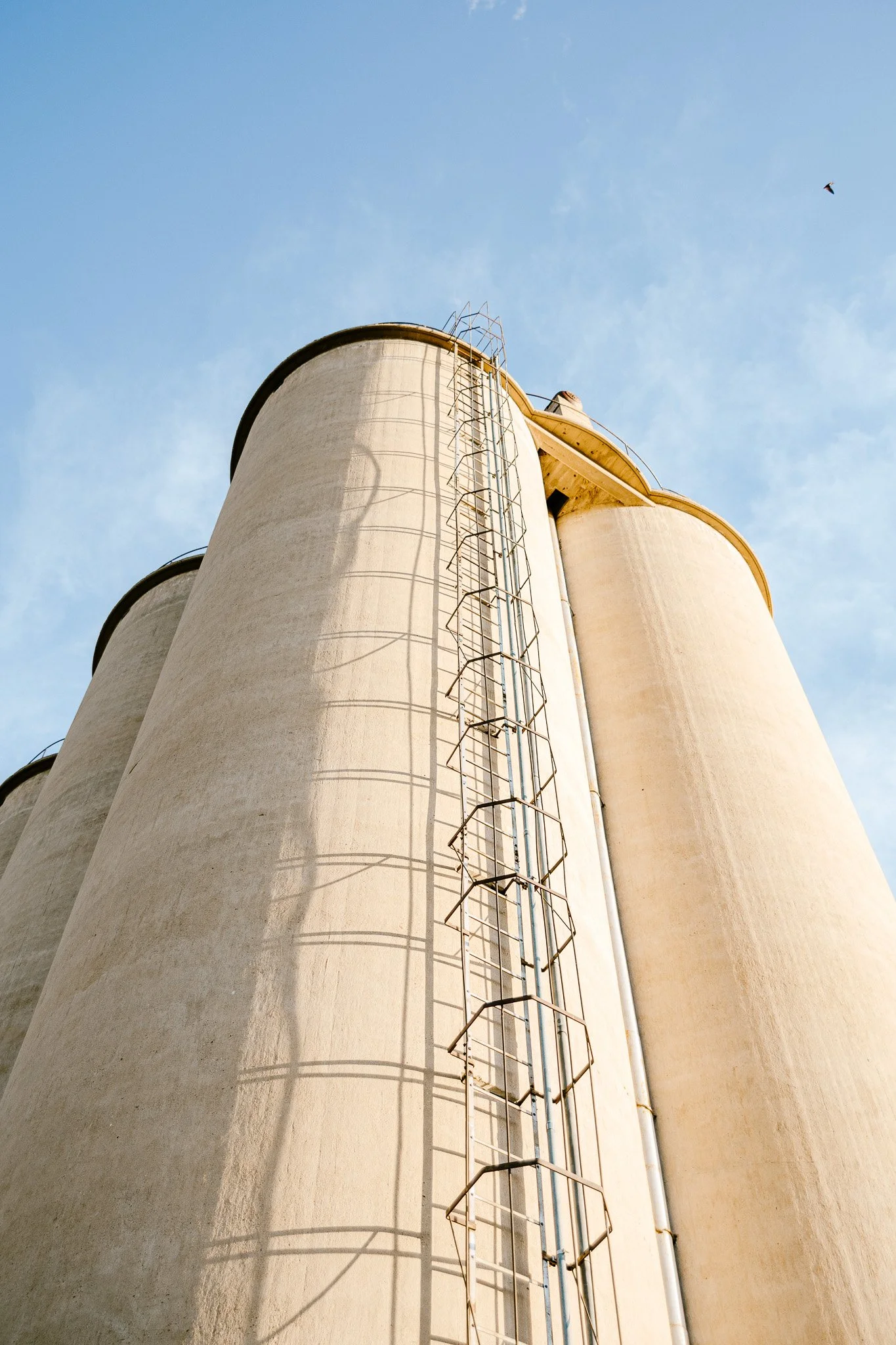 Unique industrial wedding venue featuring historic grain silos near Amarillo