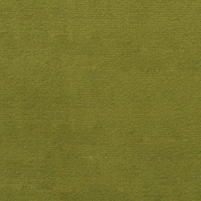 F1837 velvet.jpg