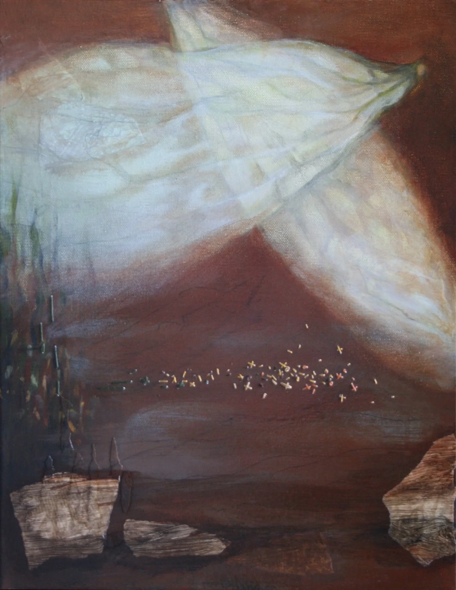 Field Notes_Shelter by Kate Norris.jpeg