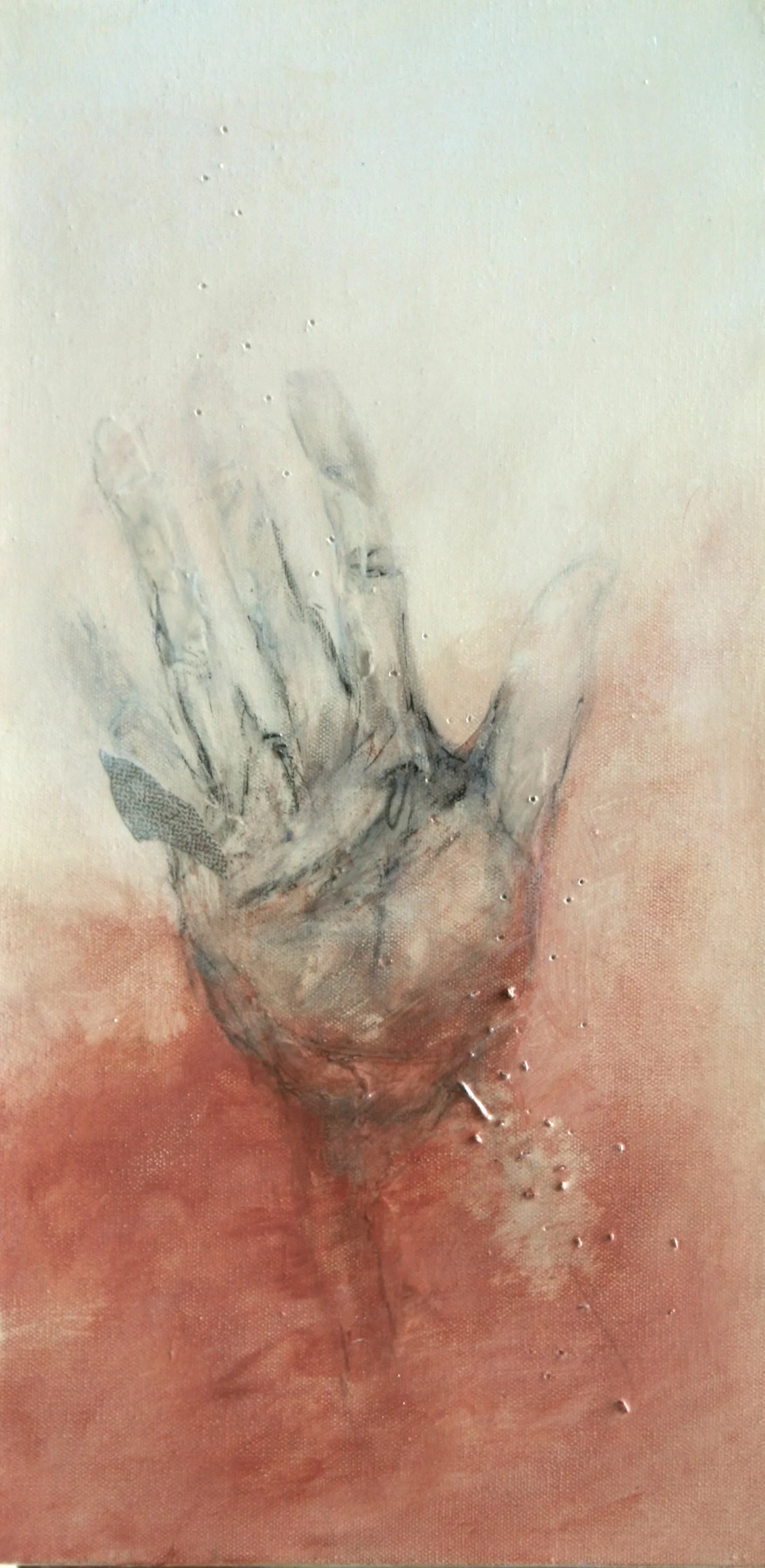 Field Notes_Reach by Kate Norris.jpeg